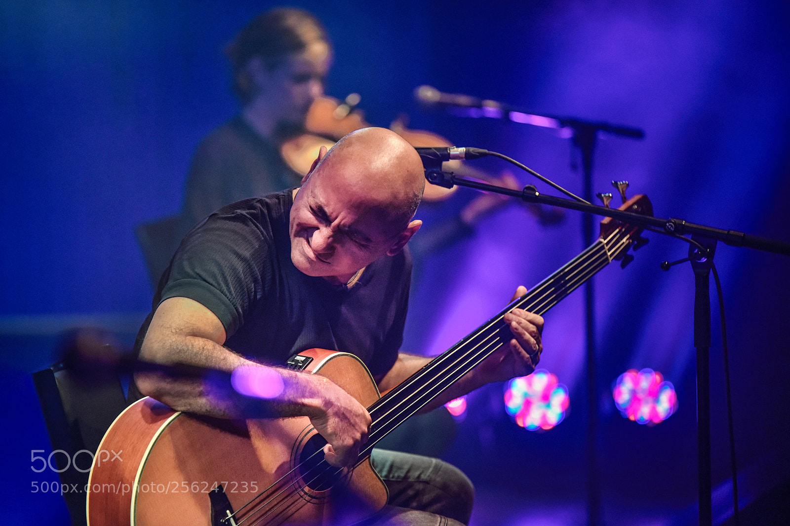 Nikon D750 sample photo. The maestro photography