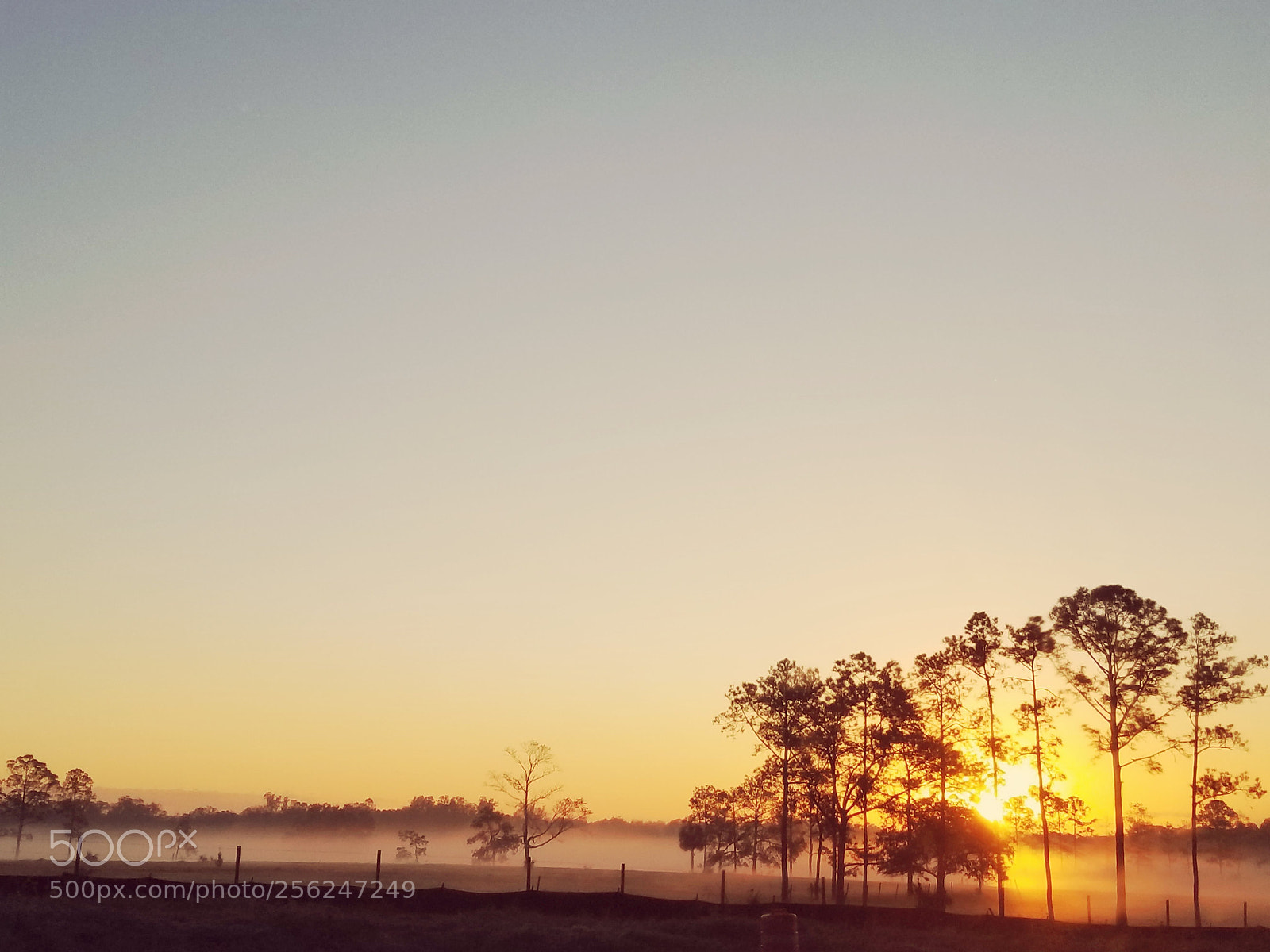 Samsung Galaxy S8 sample photo. Morning sunrise photography