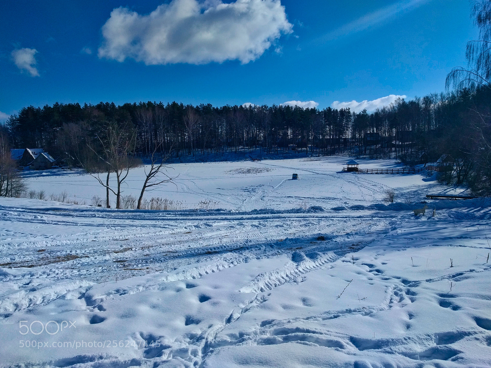 LG Nexus 5X sample photo. Winter in frozen forest photography