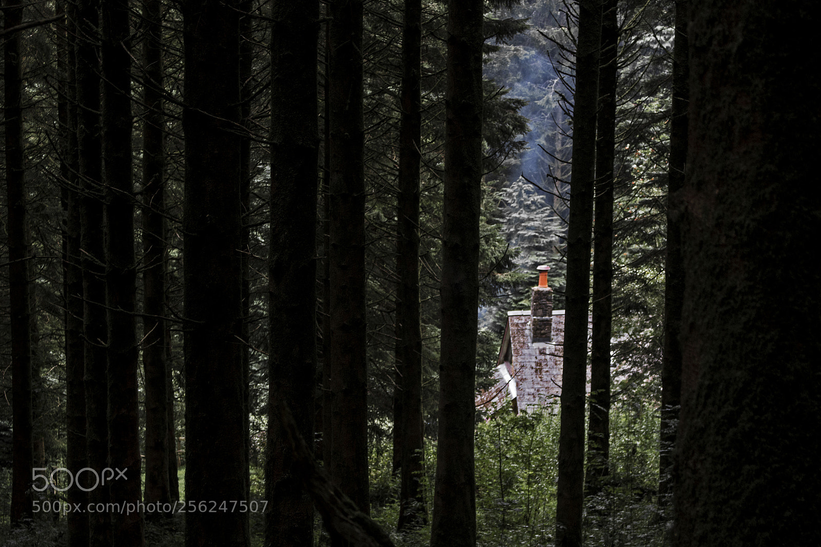 Canon EOS 700D (EOS Rebel T5i / EOS Kiss X7i) sample photo. Cabin in the woods photography