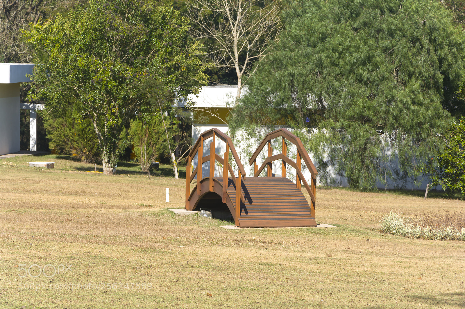 Nikon D7100 sample photo. Ponte natureza photography
