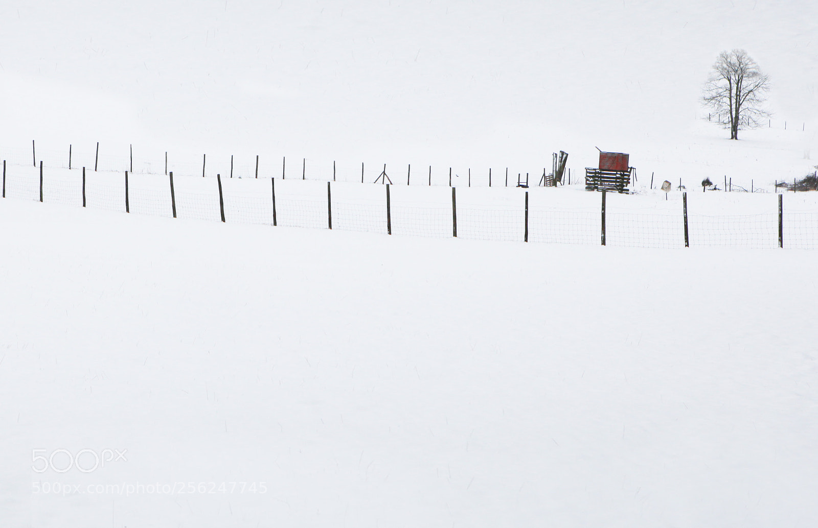 Canon EOS 5D Mark II sample photo. Fence in the snow photography