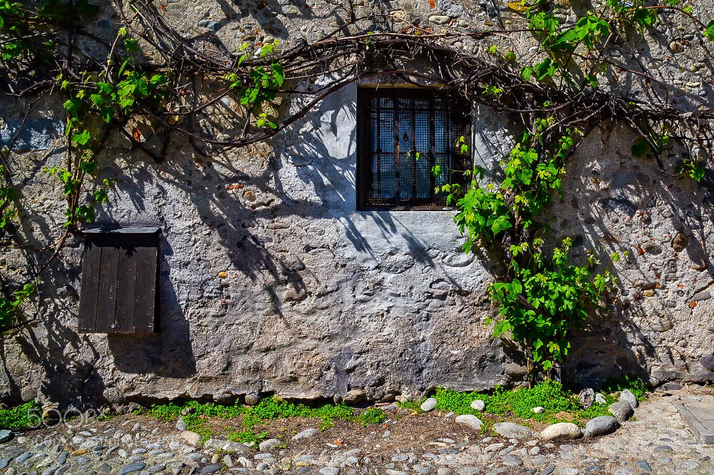 Nikon D750 sample photo. Mother nature photography