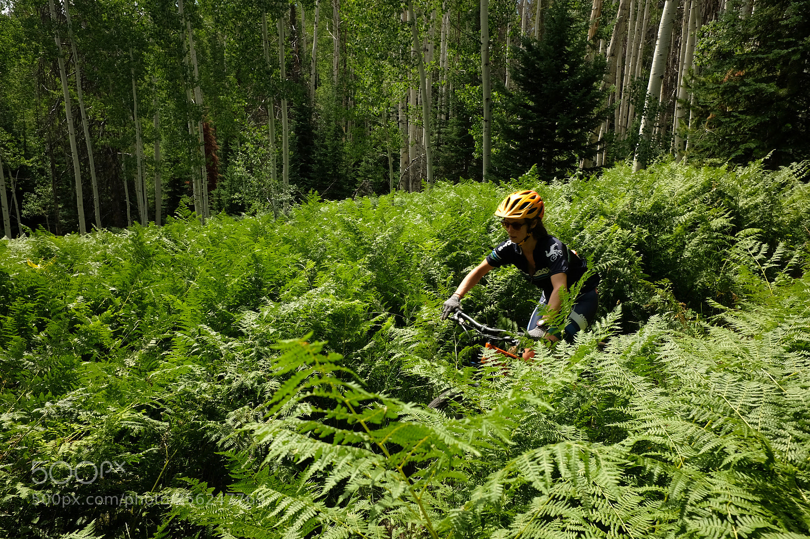 Fujifilm X70 sample photo. Seedhouse road cycling 01 photography