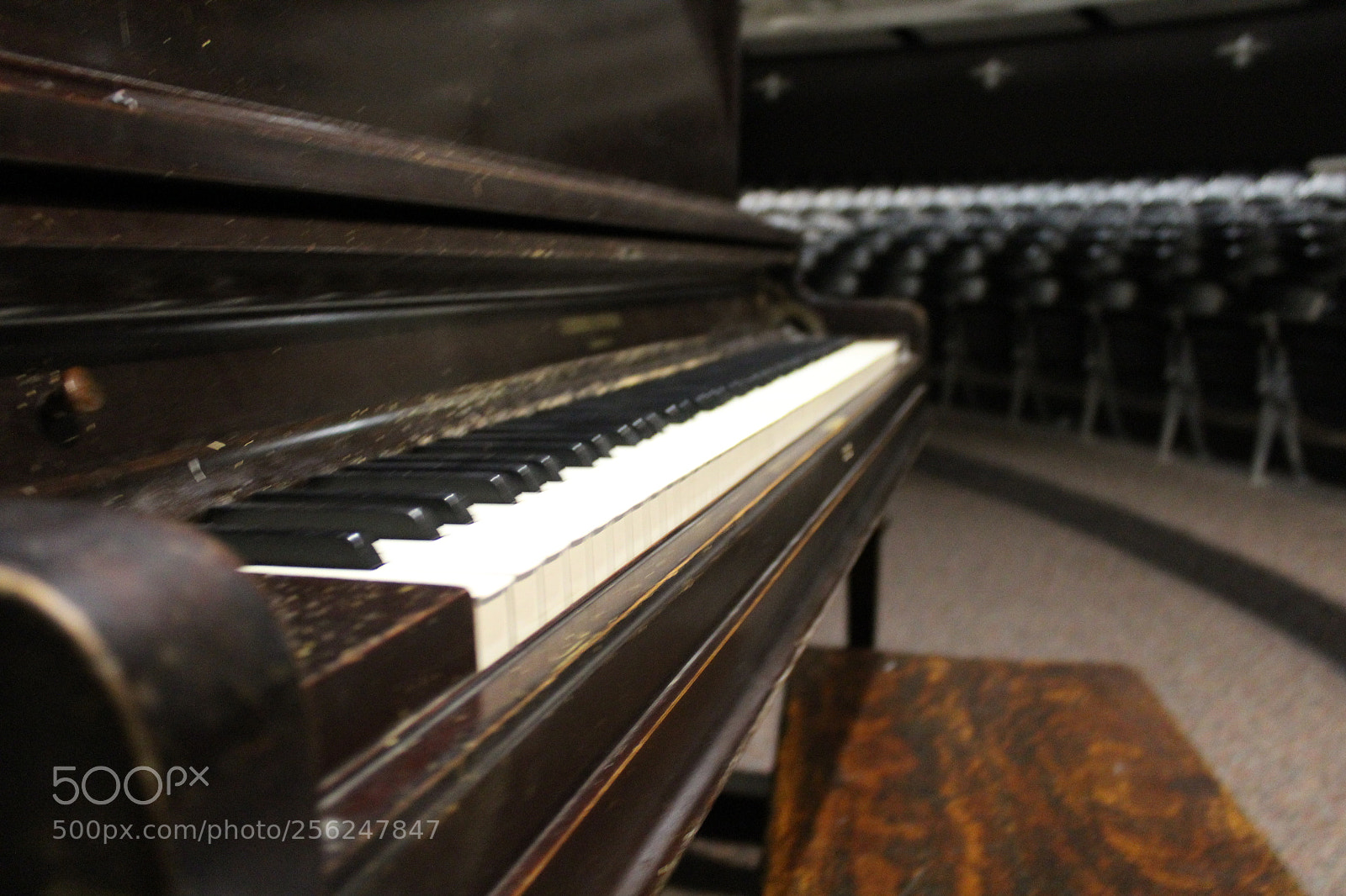 Canon EOS 1200D (EOS Rebel T5 / EOS Kiss X70 / EOS Hi) sample photo. Music thing photography