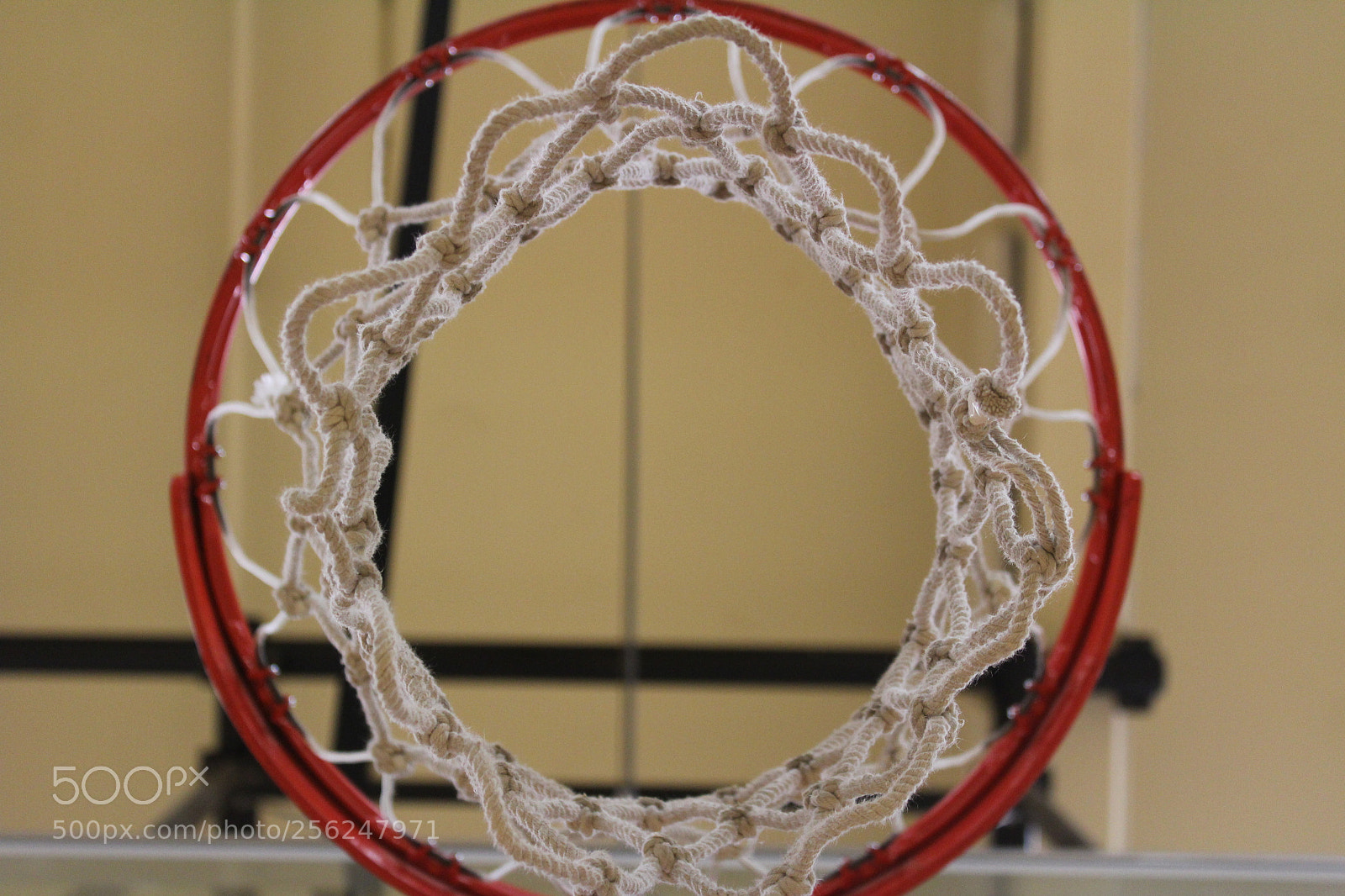 Canon EOS 1200D (EOS Rebel T5 / EOS Kiss X70 / EOS Hi) sample photo. Bball hoop photography