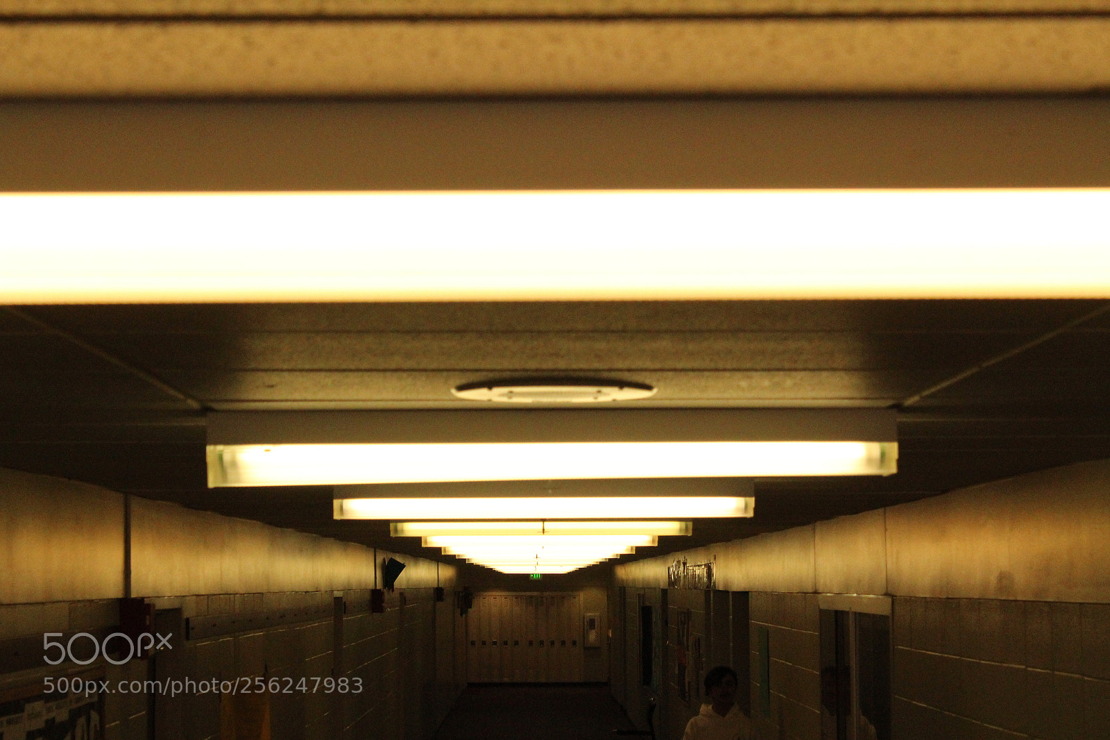 Canon EOS 1200D (EOS Rebel T5 / EOS Kiss X70 / EOS Hi) sample photo. More lights photography