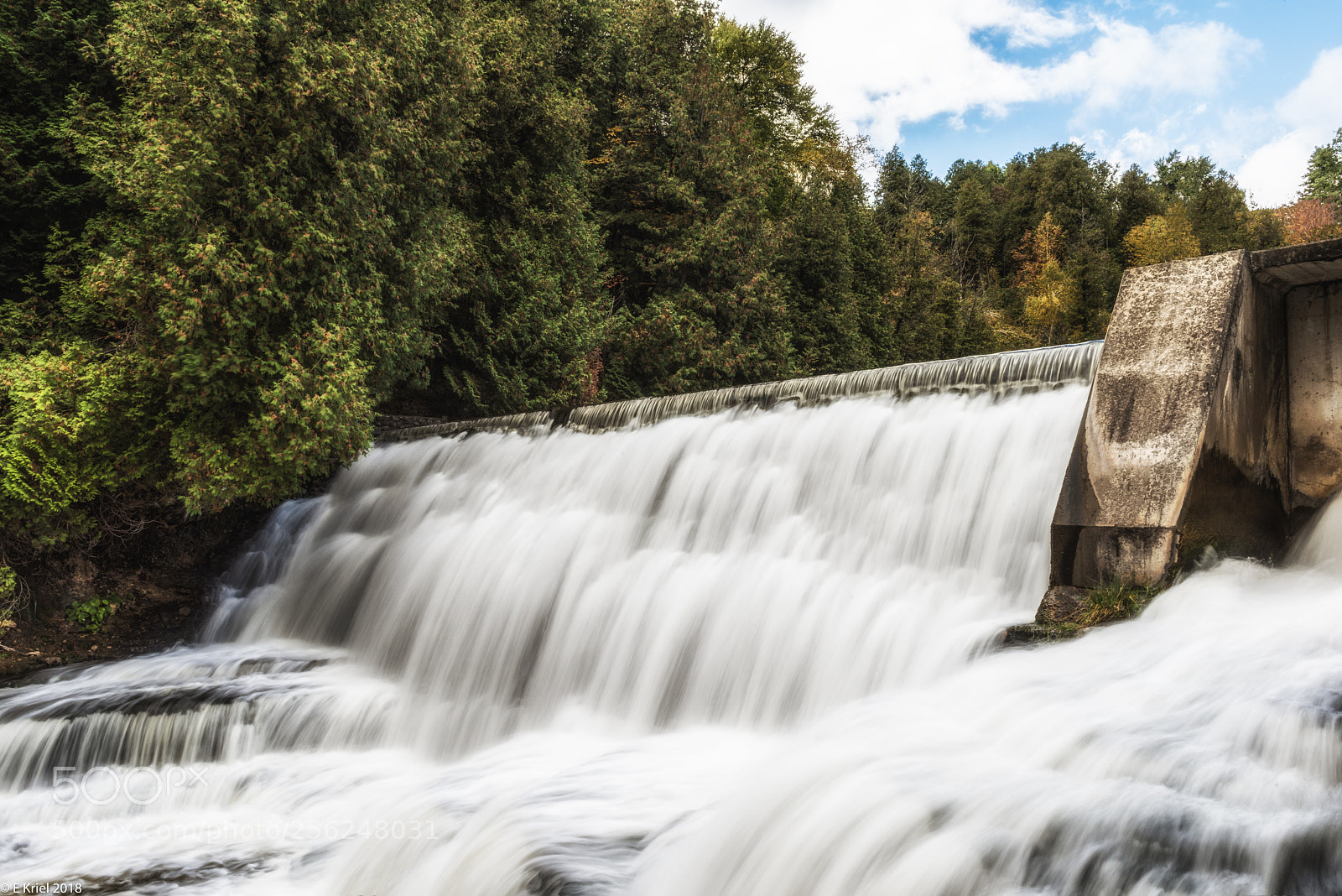 Nikon D810 sample photo. Fall starting photography