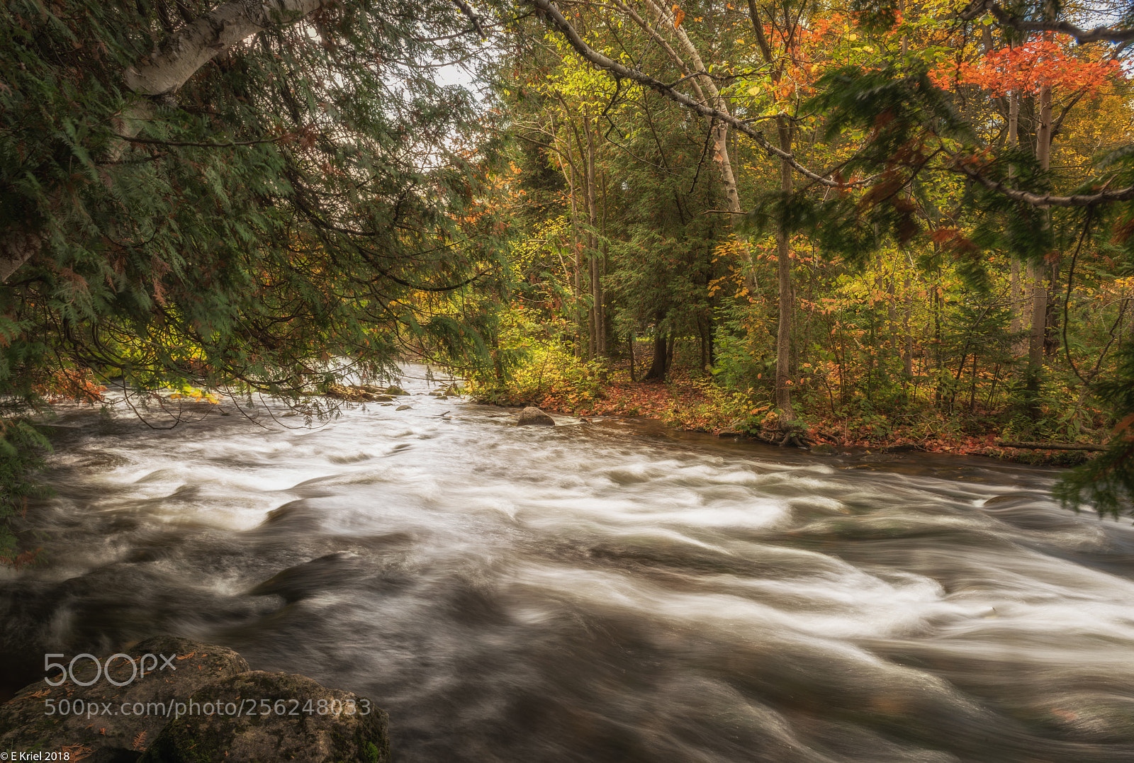Nikon D810 sample photo. Fall starting photography