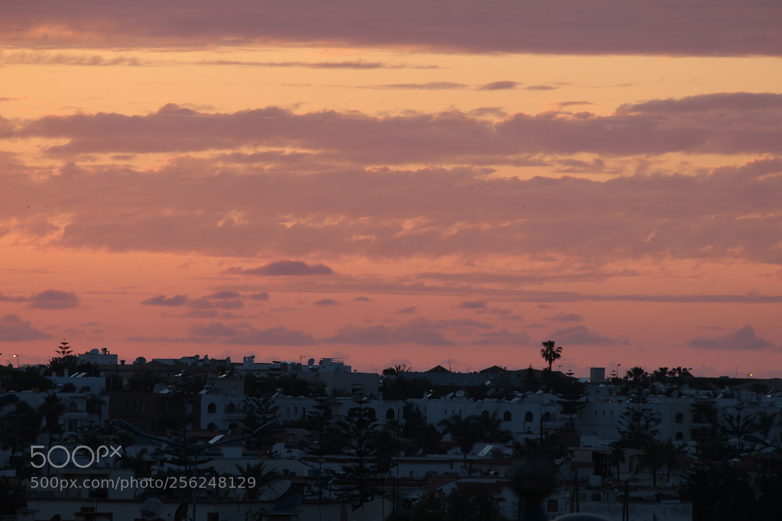 Canon EF-S 55-250mm F4-5.6 IS II sample photo. Untitled photography