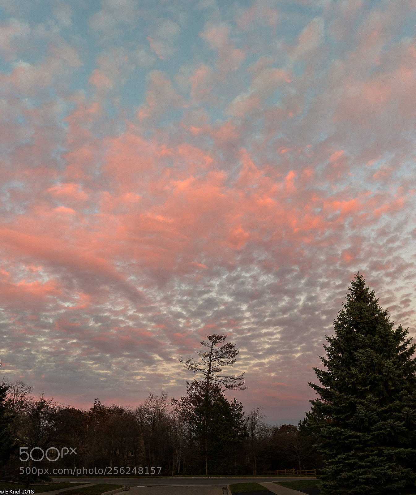 Nikon D810 sample photo. Clouds over home photography