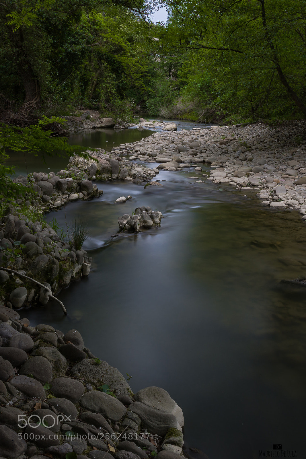 Nikon D7200 sample photo. Portions photography