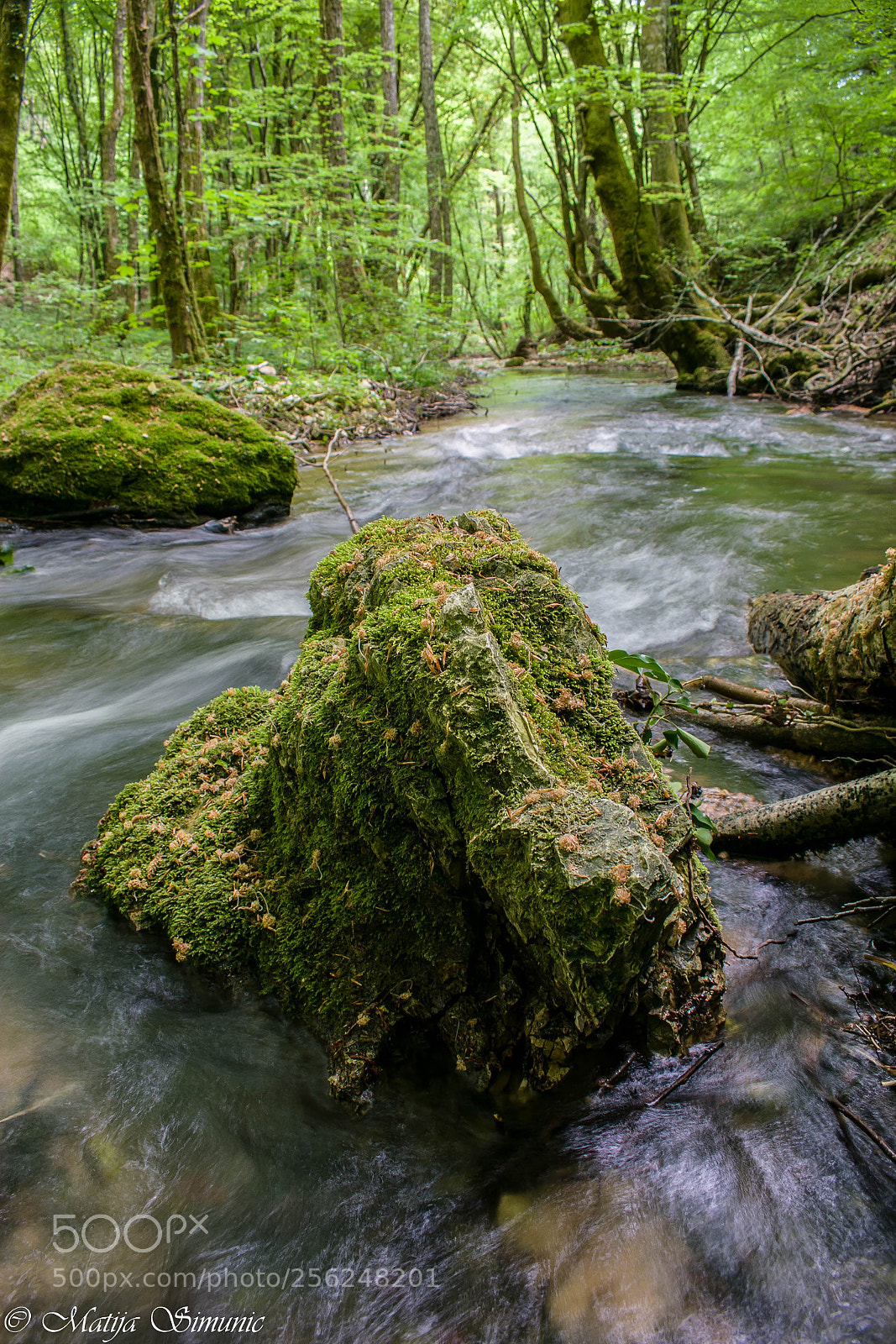 Nikon D5300 sample photo. Rock in the creek photography
