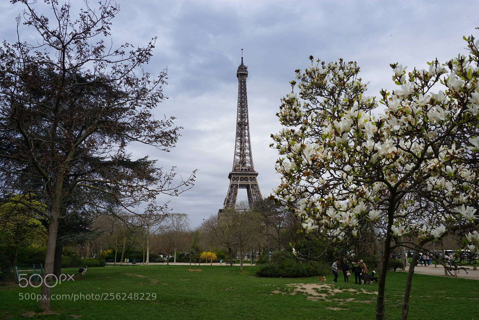 Sony a6000 sample photo. Paris photography