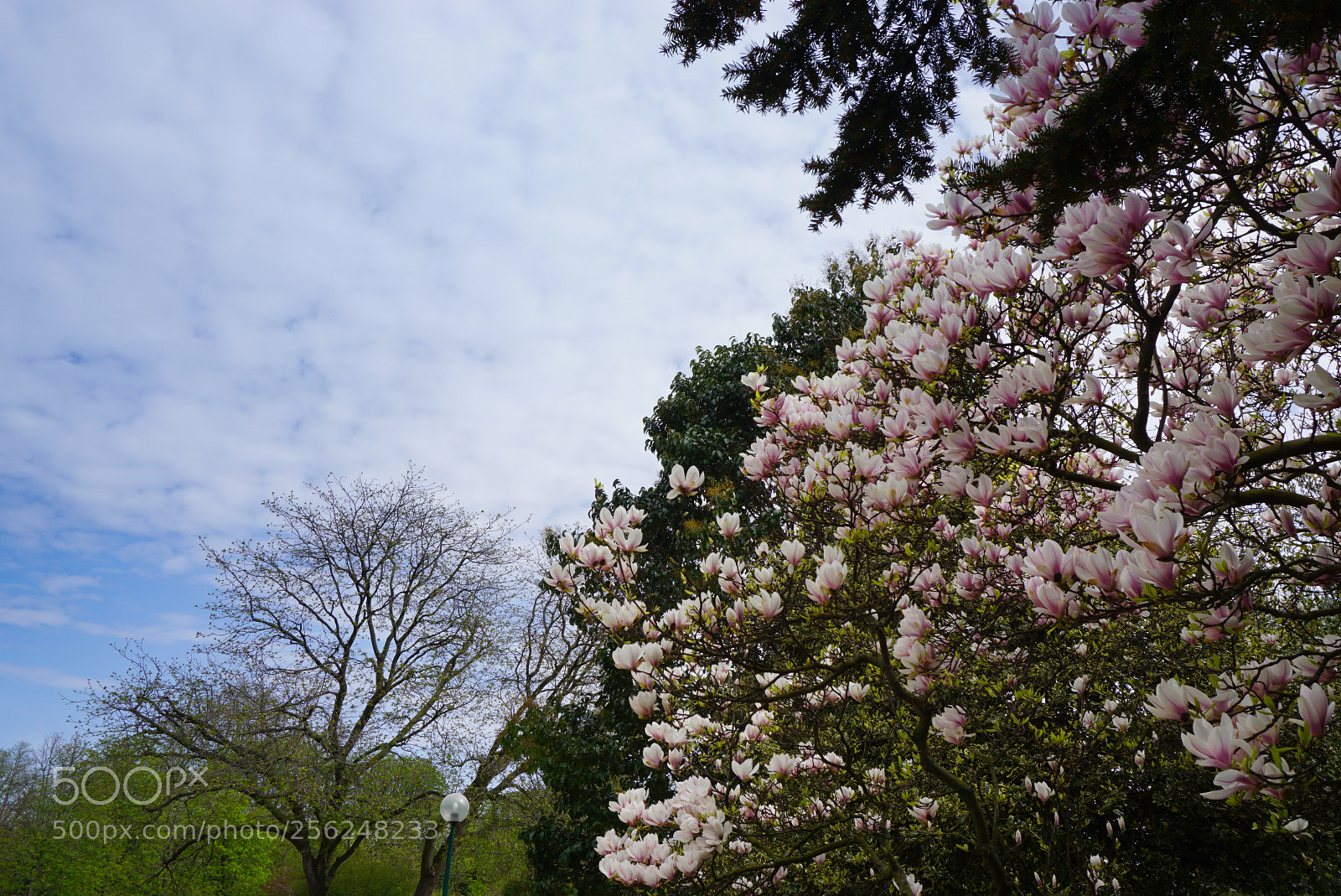 Sony a6000 sample photo. Paris photography