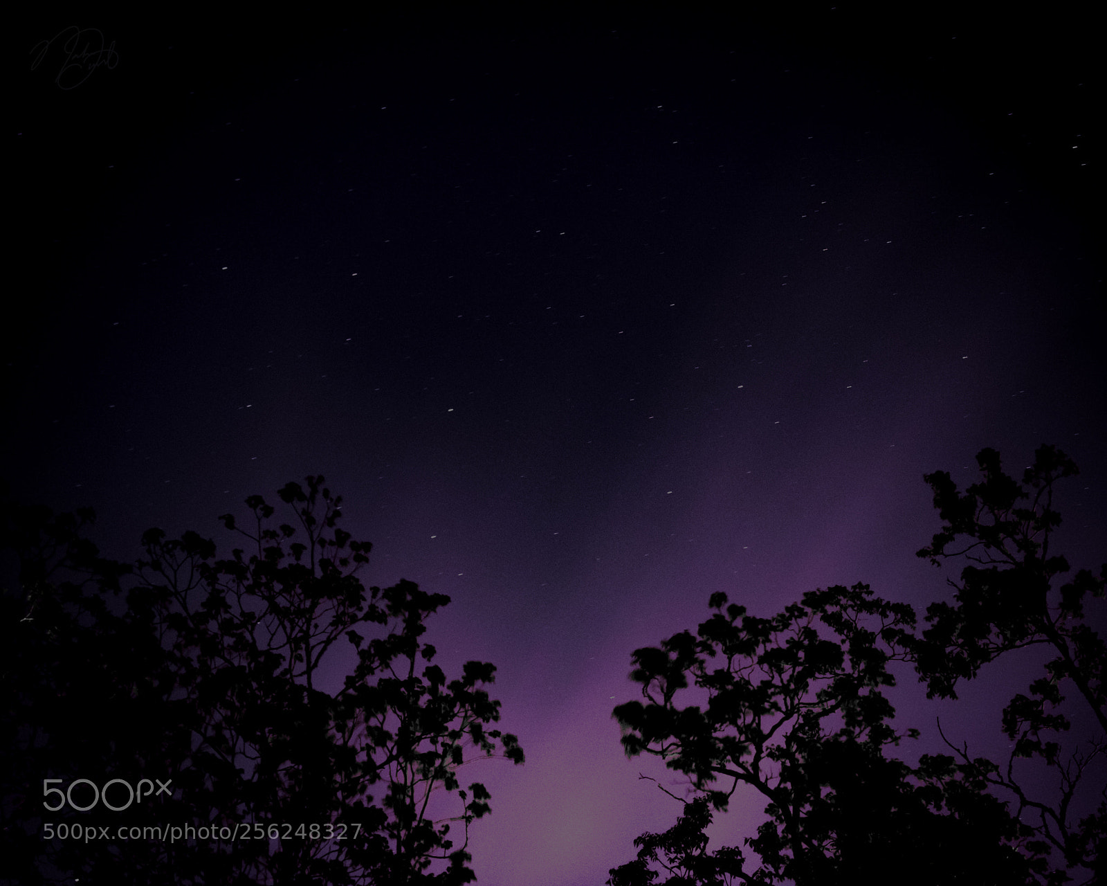 Canon EOS 750D (EOS Rebel T6i / EOS Kiss X8i) sample photo. Purple haze photography
