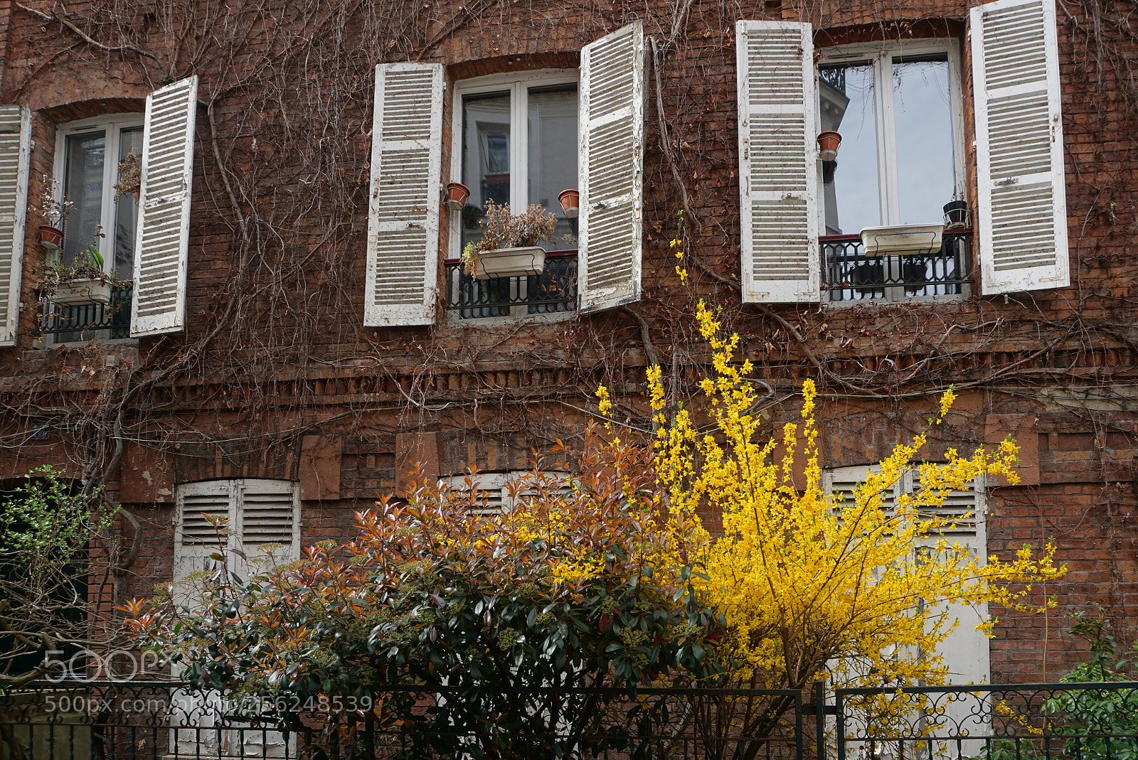 Sony a6000 sample photo. Paris photography