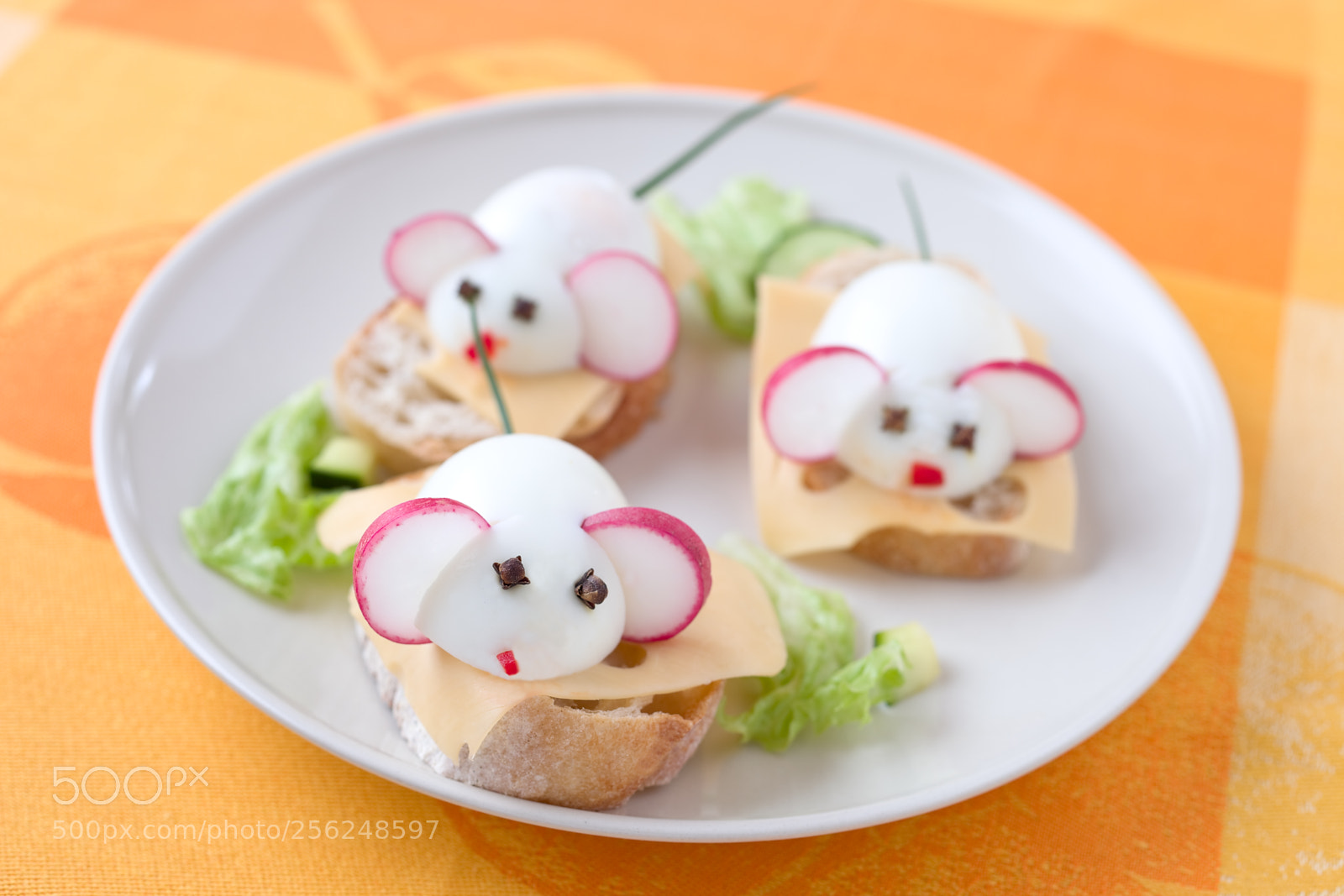 Canon EOS 5D Mark II sample photo. Cheese sandwich with radish photography