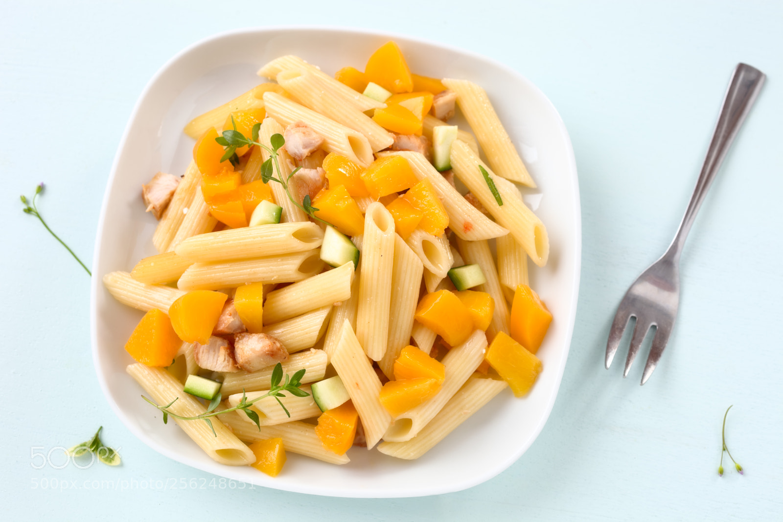 Canon EOS 5D Mark II sample photo. Chicken pasta salad photography