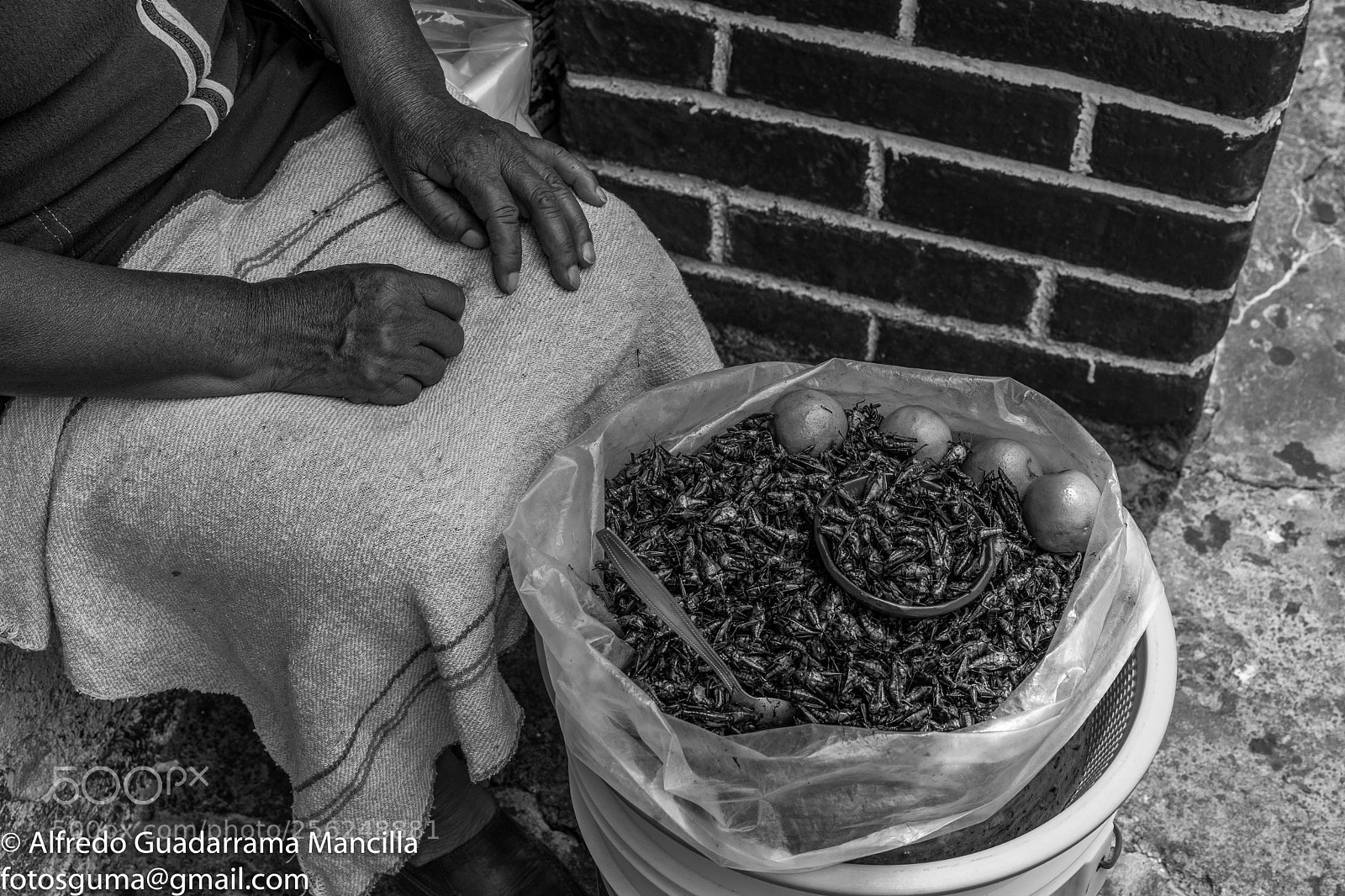 Sony a7 II sample photo. Crickets for eat photography