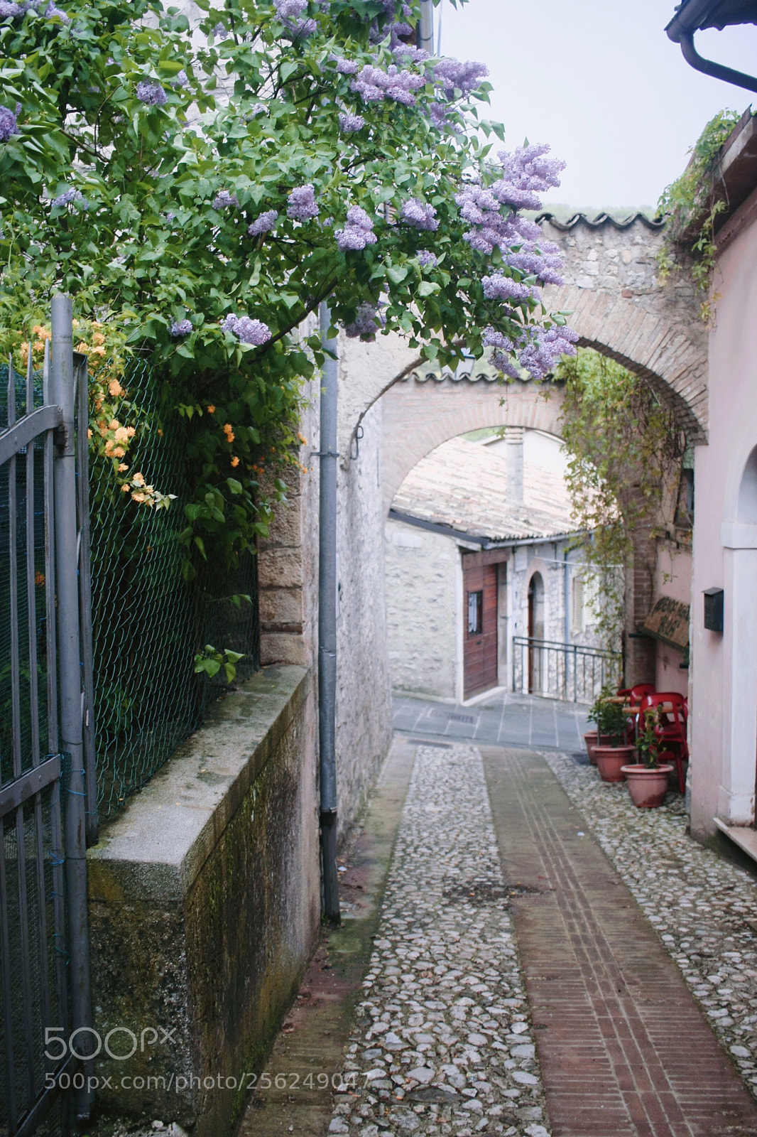 Canon EOS 40D sample photo. Cascia - centro storico  photography