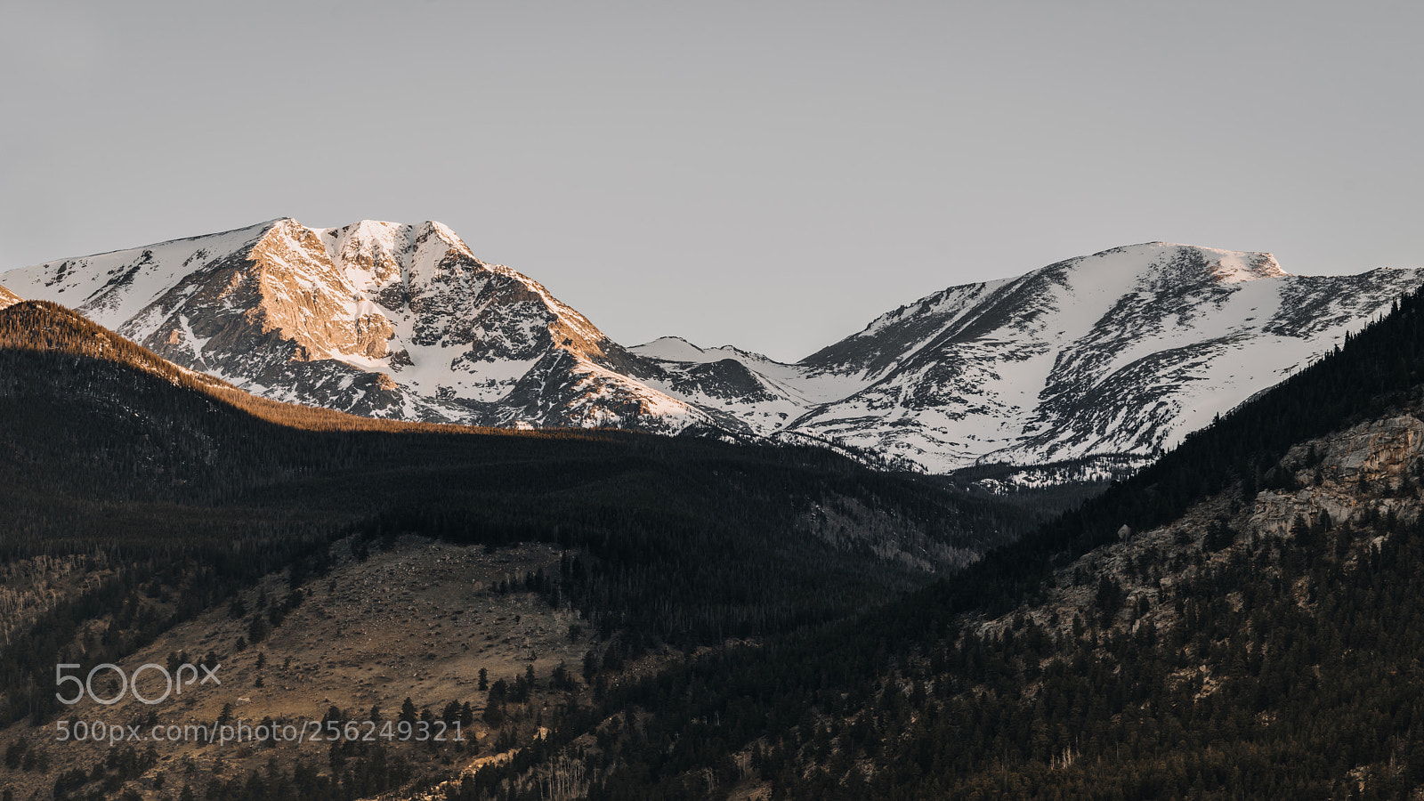 Sony a7R III sample photo. Mornings in rmnp photography