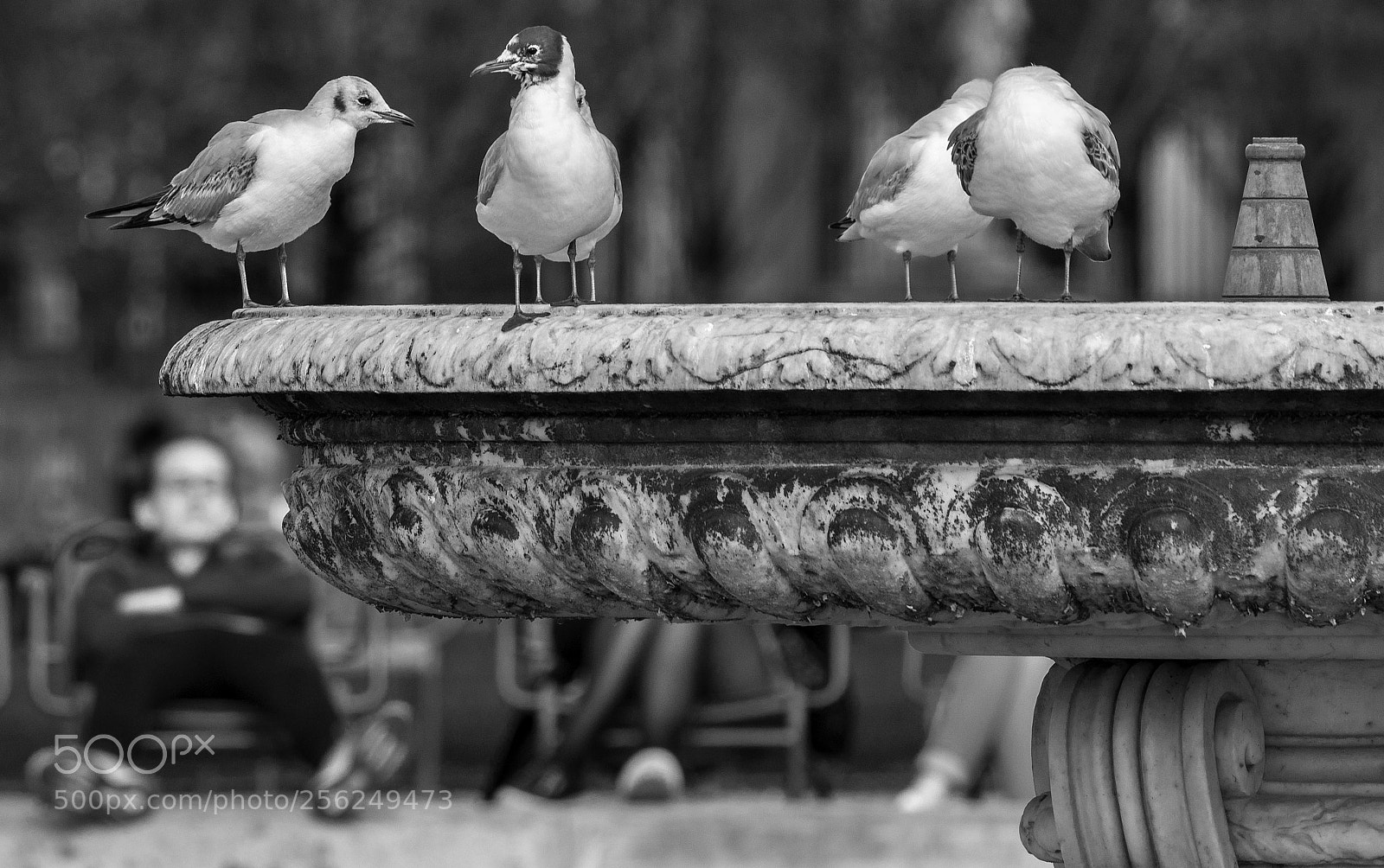 Nikon D610 sample photo. Thk photography