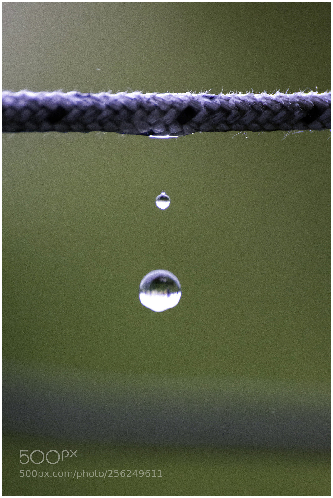 Nikon D7200 sample photo. Gota photography