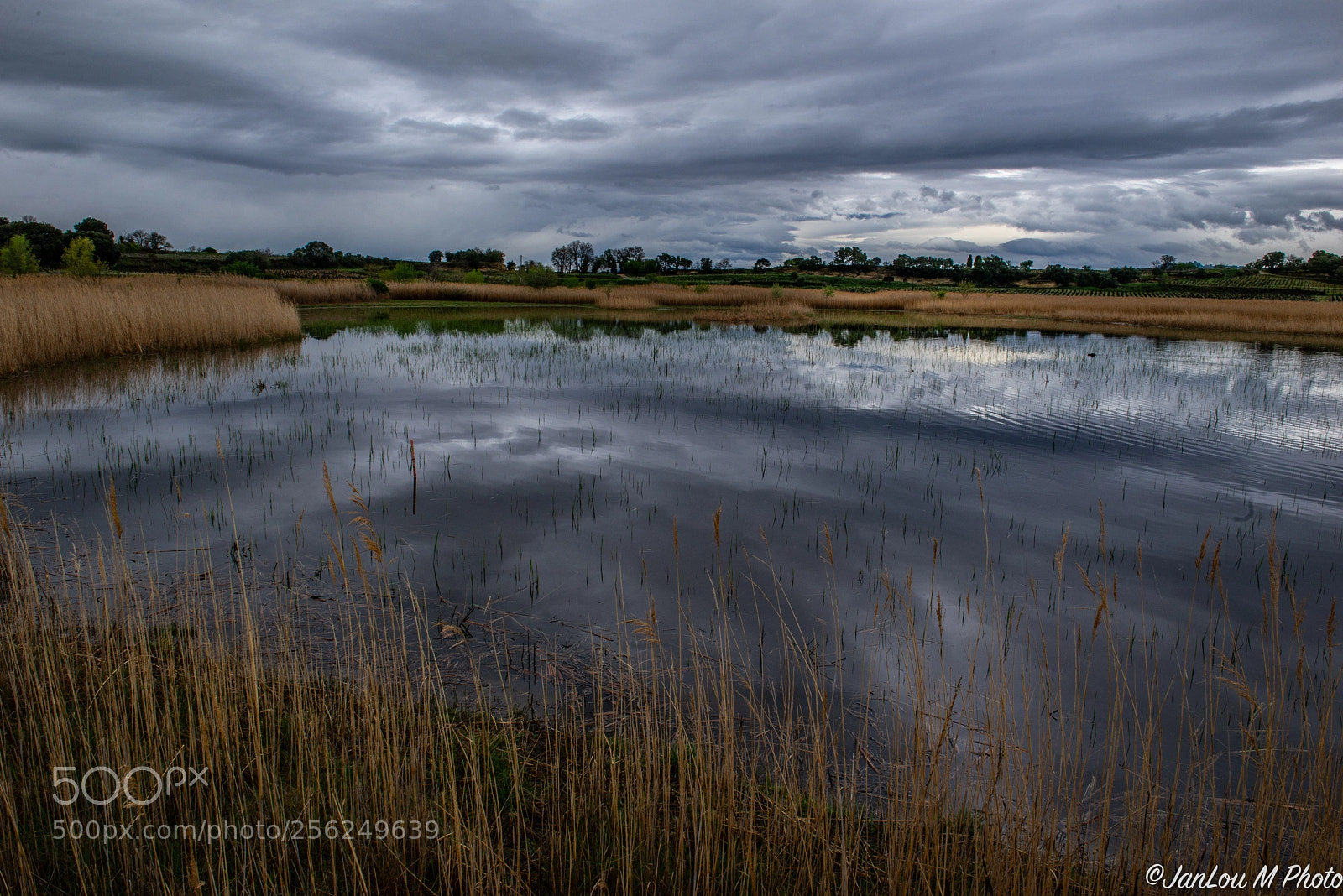 Nikon D610 sample photo. Etang salé, courthezon photography
