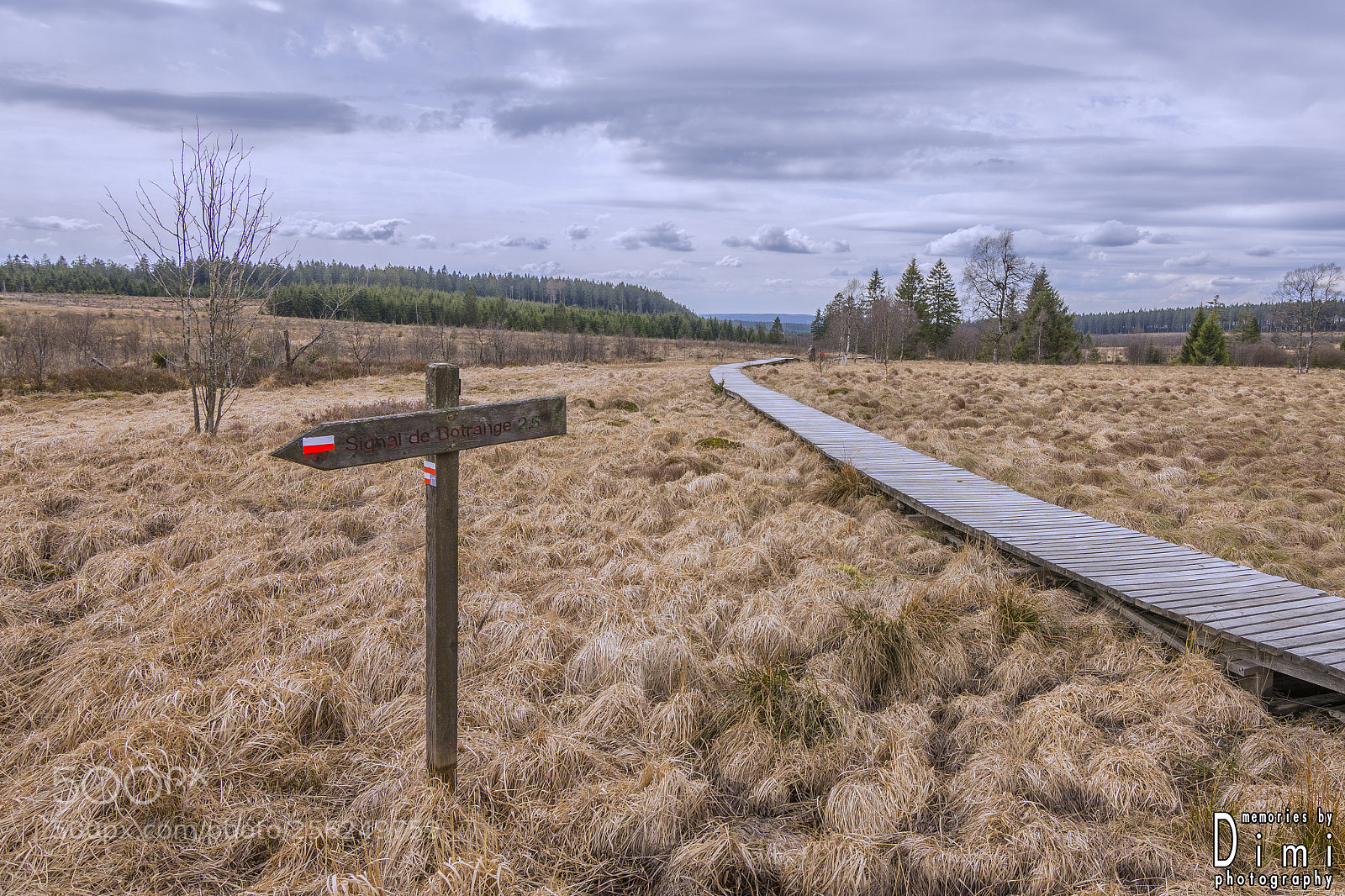 Nikon D7200 sample photo. Stay on the path photography