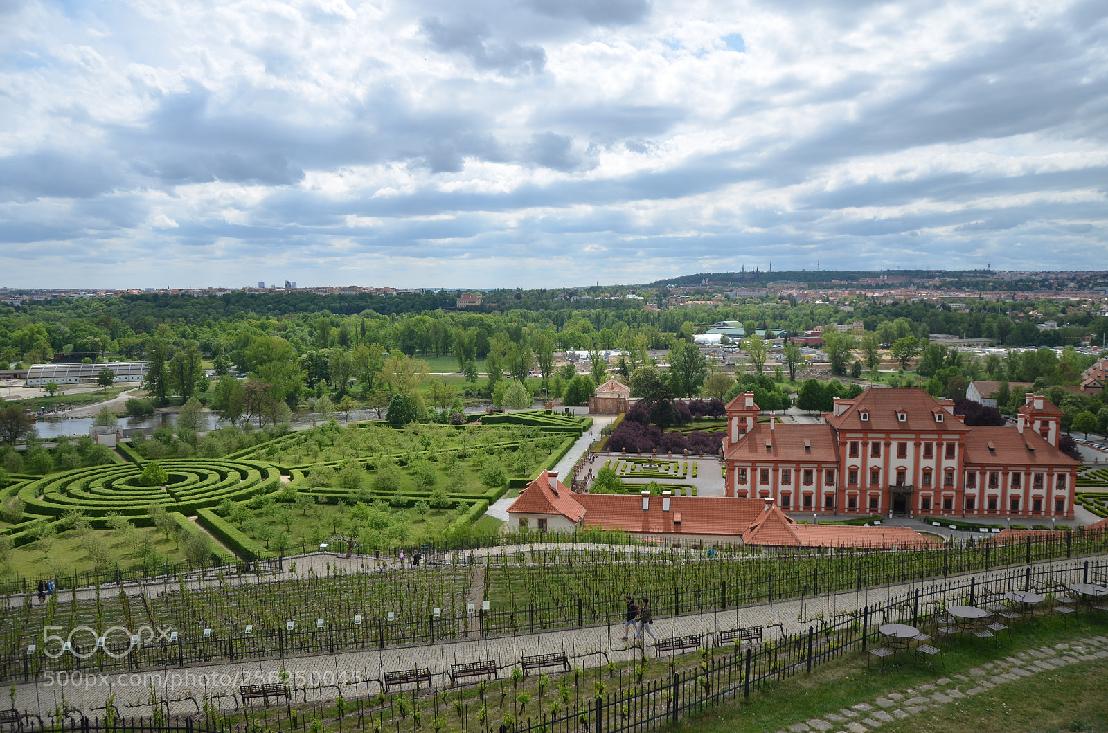 Nikon D5100 sample photo. The wineyard, the labyrinth photography