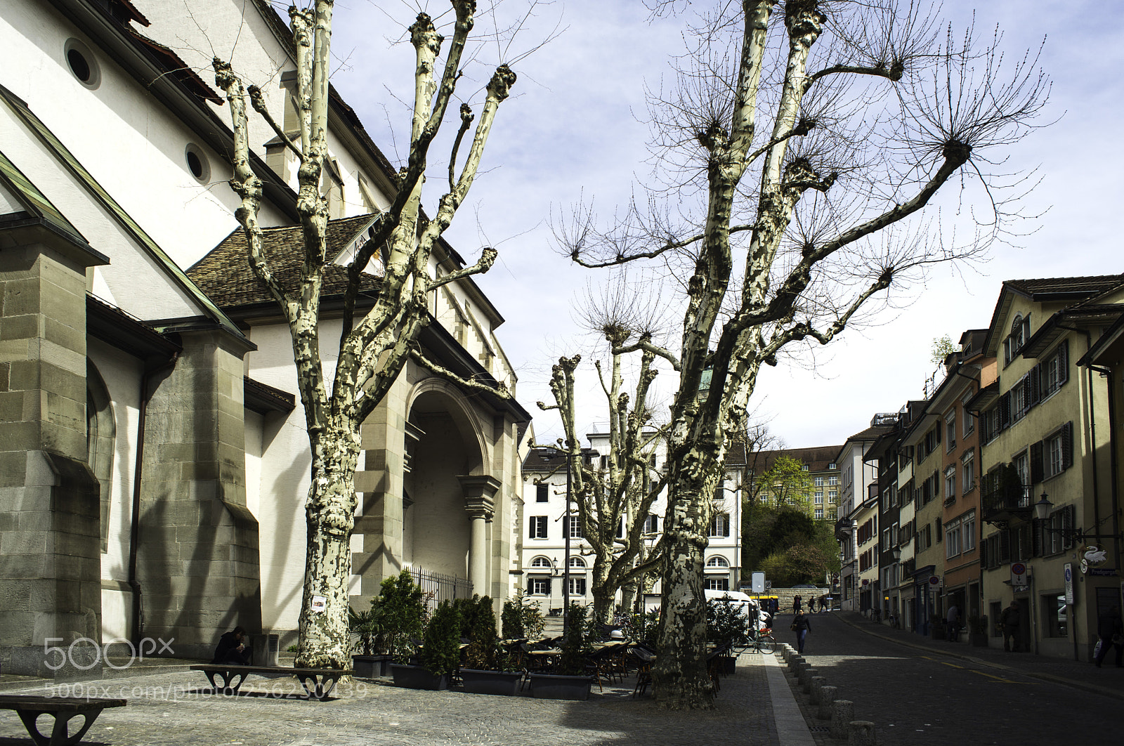 Nikon D600 sample photo. Old town trees photography