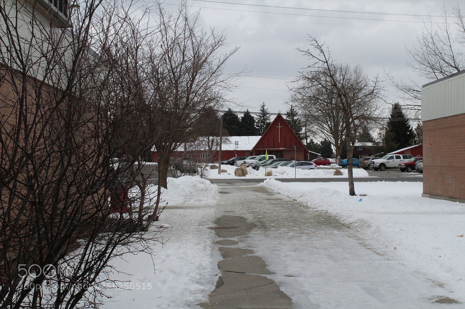 Canon EOS 1300D (EOS Rebel T6 / EOS Kiss X80) sample photo. An ugly winter photography