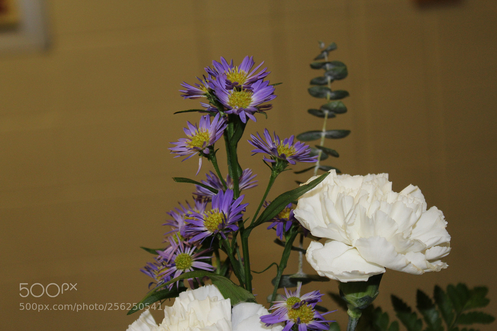 Canon EOS 1200D (EOS Rebel T5 / EOS Kiss X70 / EOS Hi) sample photo. Still flowers photography