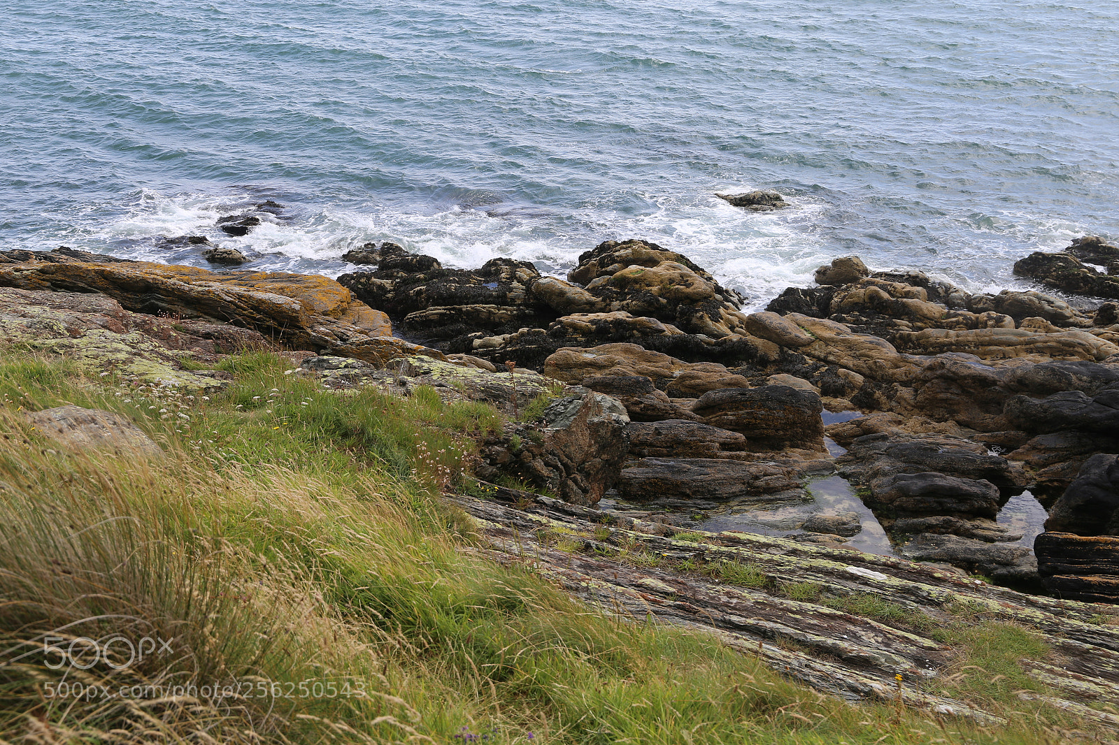 Canon EF 24-105mm F3.5-5.6 IS STM sample photo. Img photography