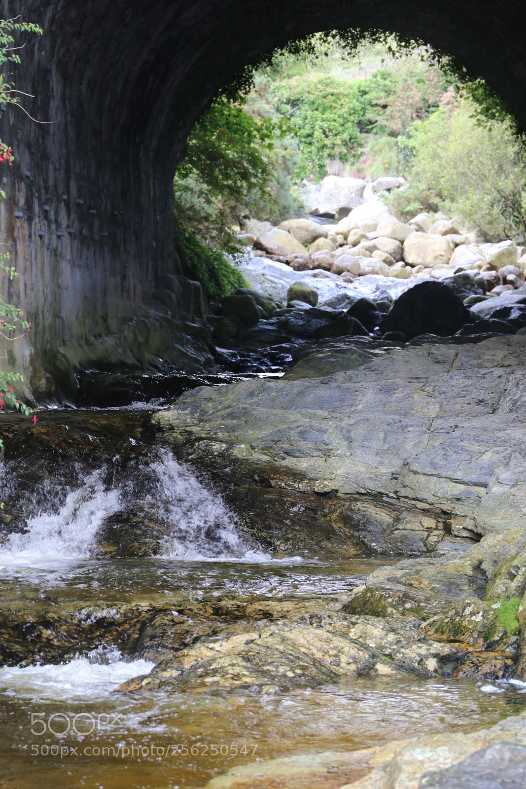 Canon EF 24-105mm F3.5-5.6 IS STM sample photo. Img photography