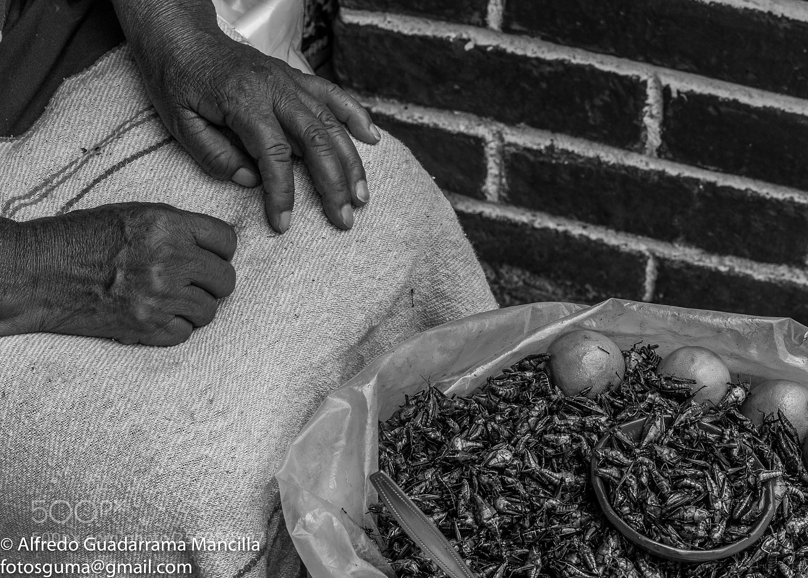 Sony a7 II sample photo. A7204783-2.jpg photography