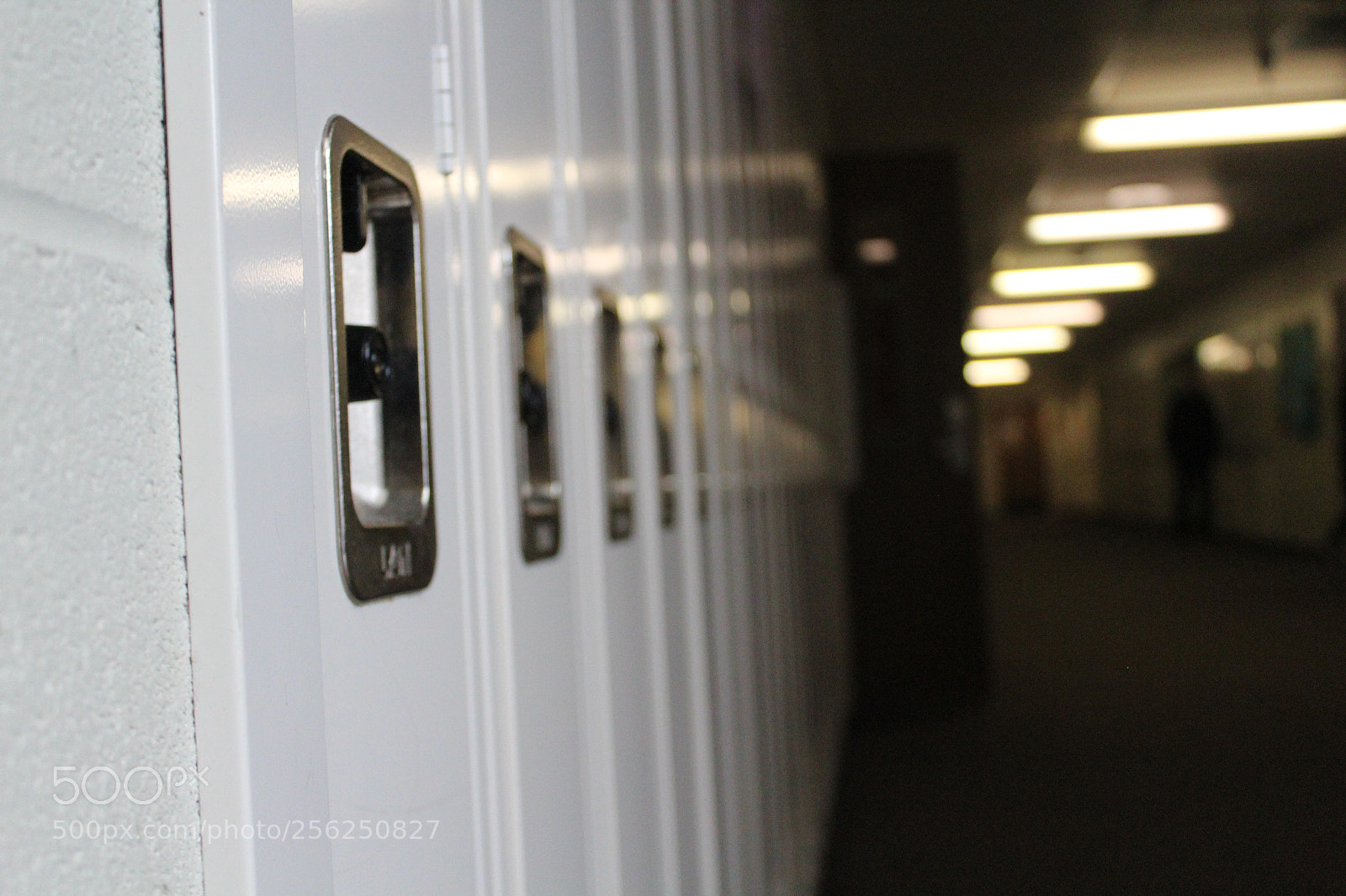 Canon EOS 1200D (EOS Rebel T5 / EOS Kiss X70 / EOS Hi) sample photo. Highschool photography