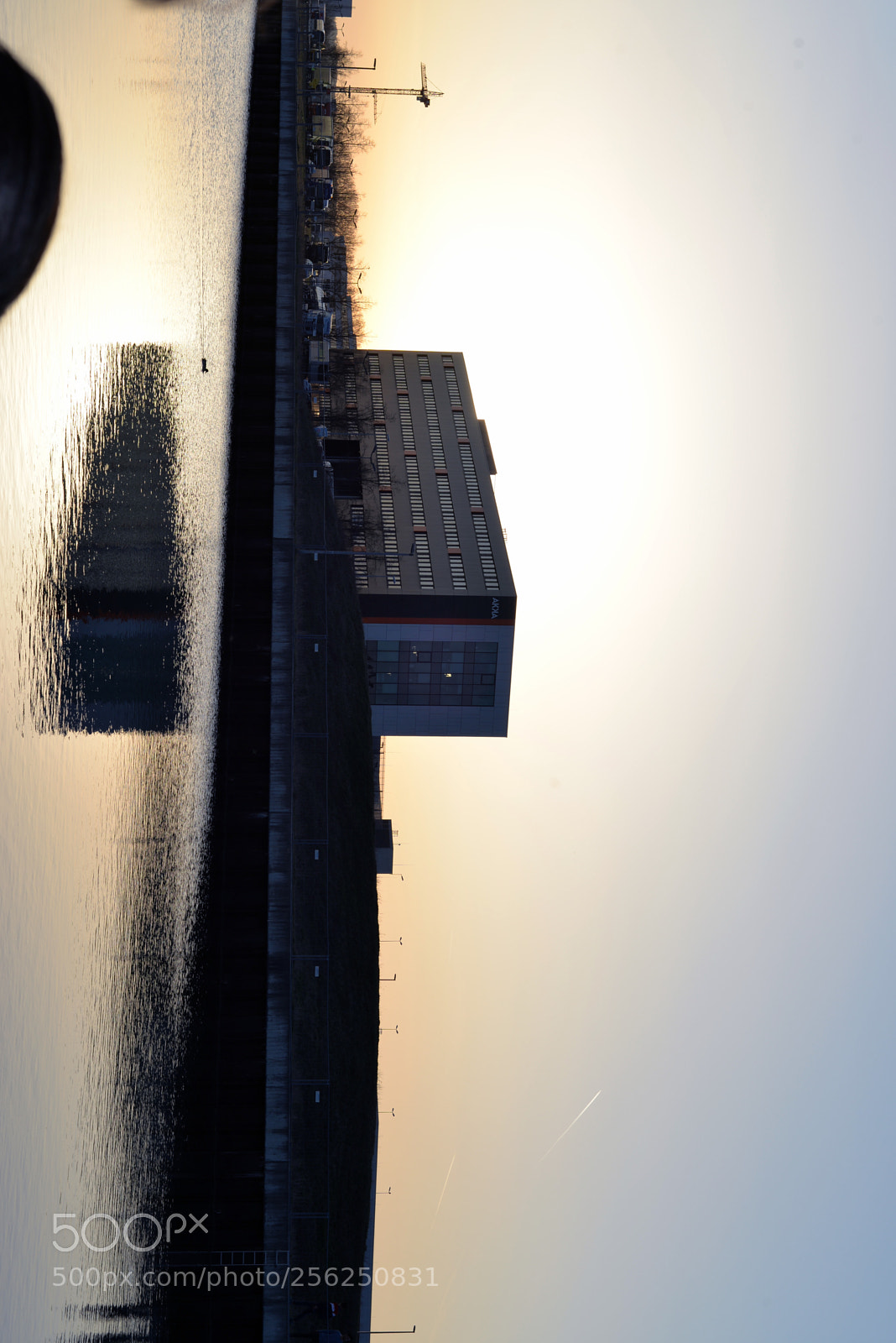Nikon D610 sample photo. Untitled photography