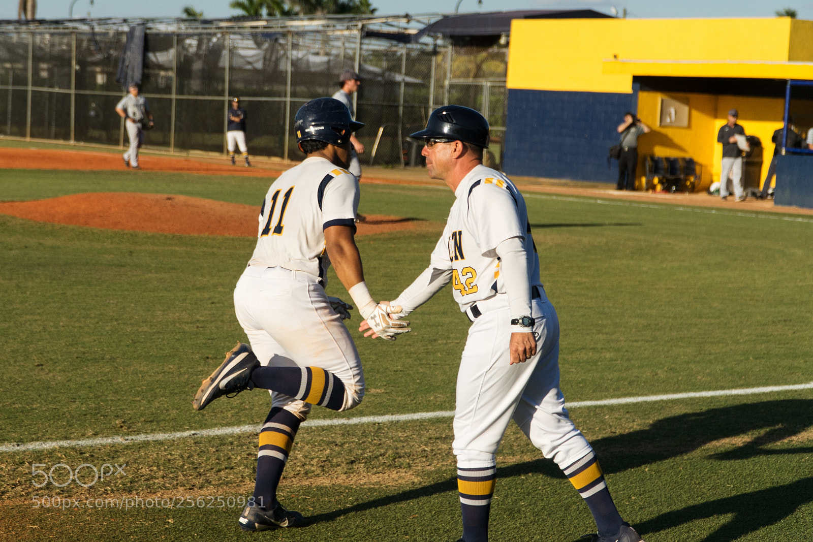 Sony a7 II sample photo. Baseball photography