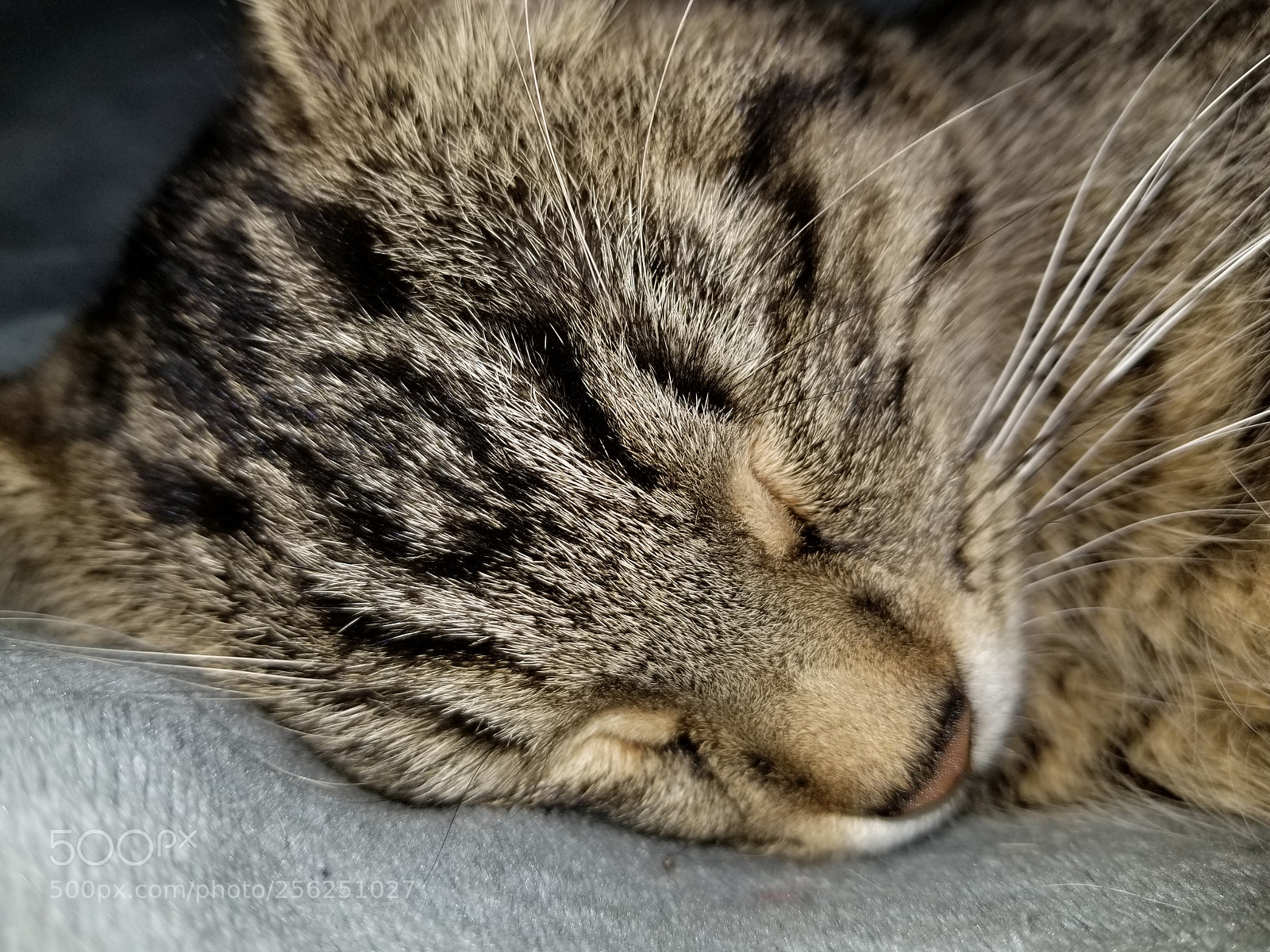Samsung Galaxy S8 sample photo. Toulouse photography