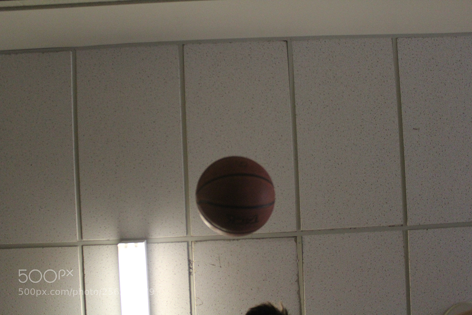 Canon EOS 1200D (EOS Rebel T5 / EOS Kiss X70 / EOS Hi) sample photo. Kellen and his ball photography