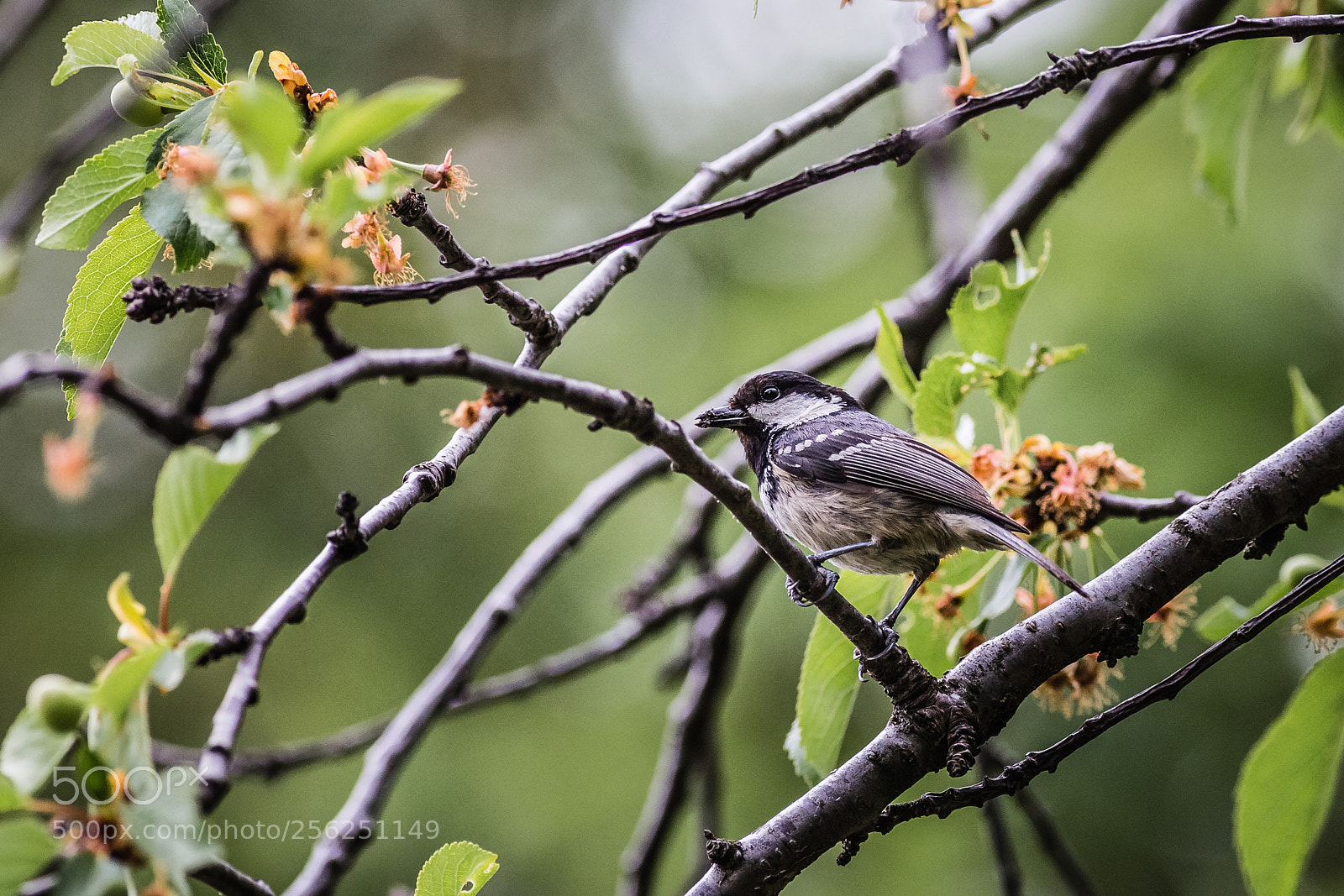 Canon EOS 6D sample photo. Resting time photography