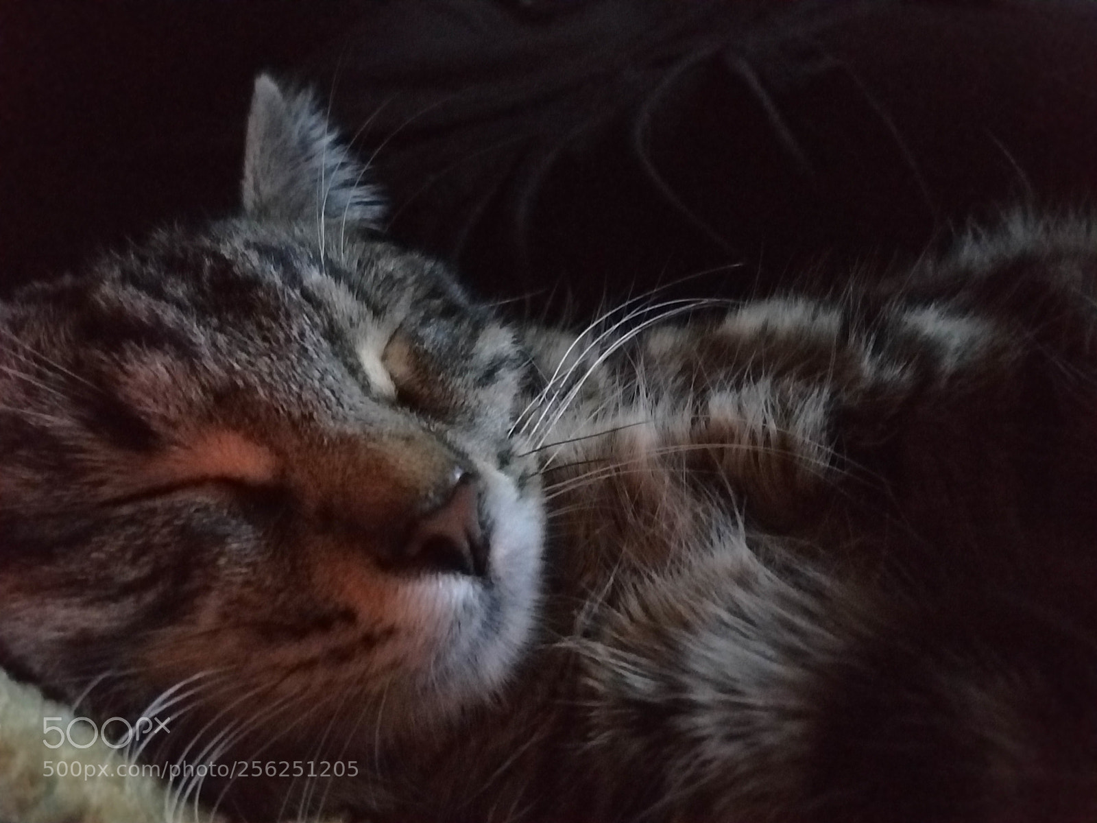 Samsung Galaxy S8 sample photo. Toulouse photography
