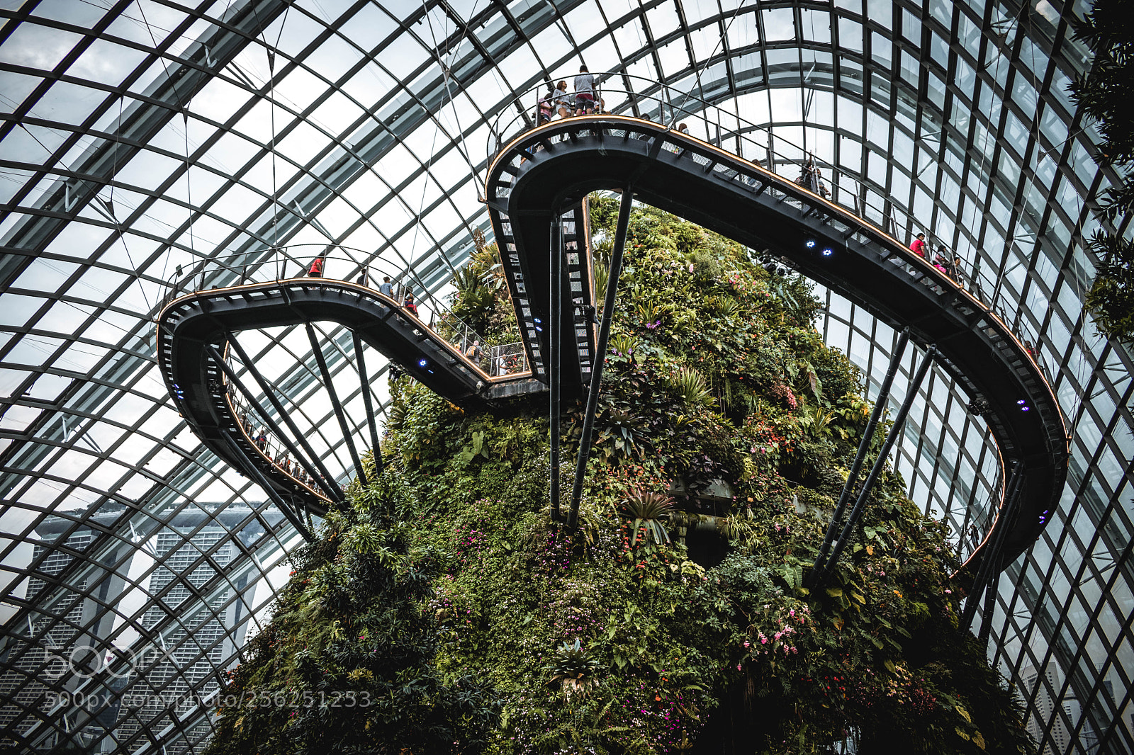 Nikon D3400 sample photo. Inside the singapore superdome photography