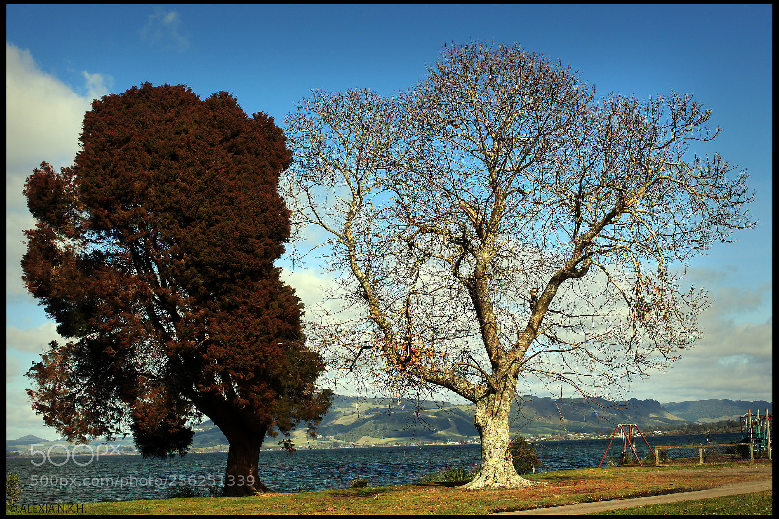 Canon EOS 5D Mark II sample photo. Between two life photography