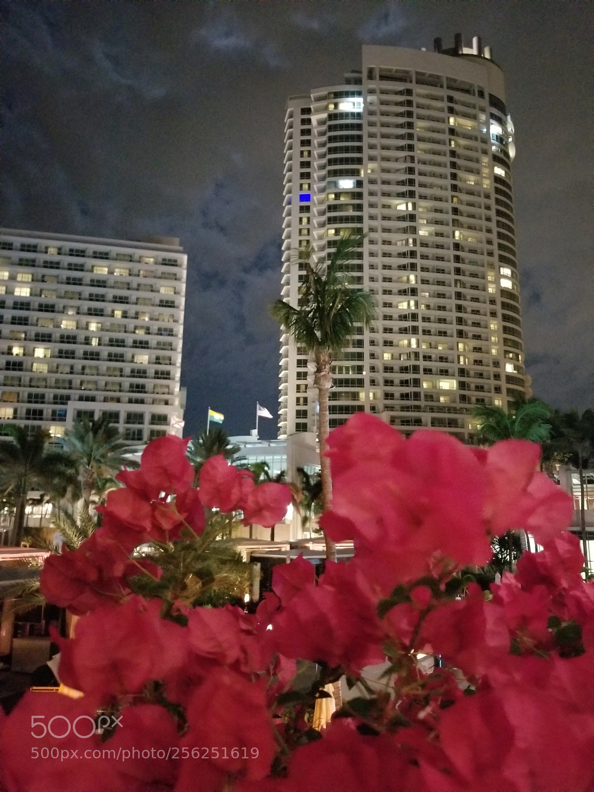 Samsung Galaxy S8+ sample photo. Untitled photography