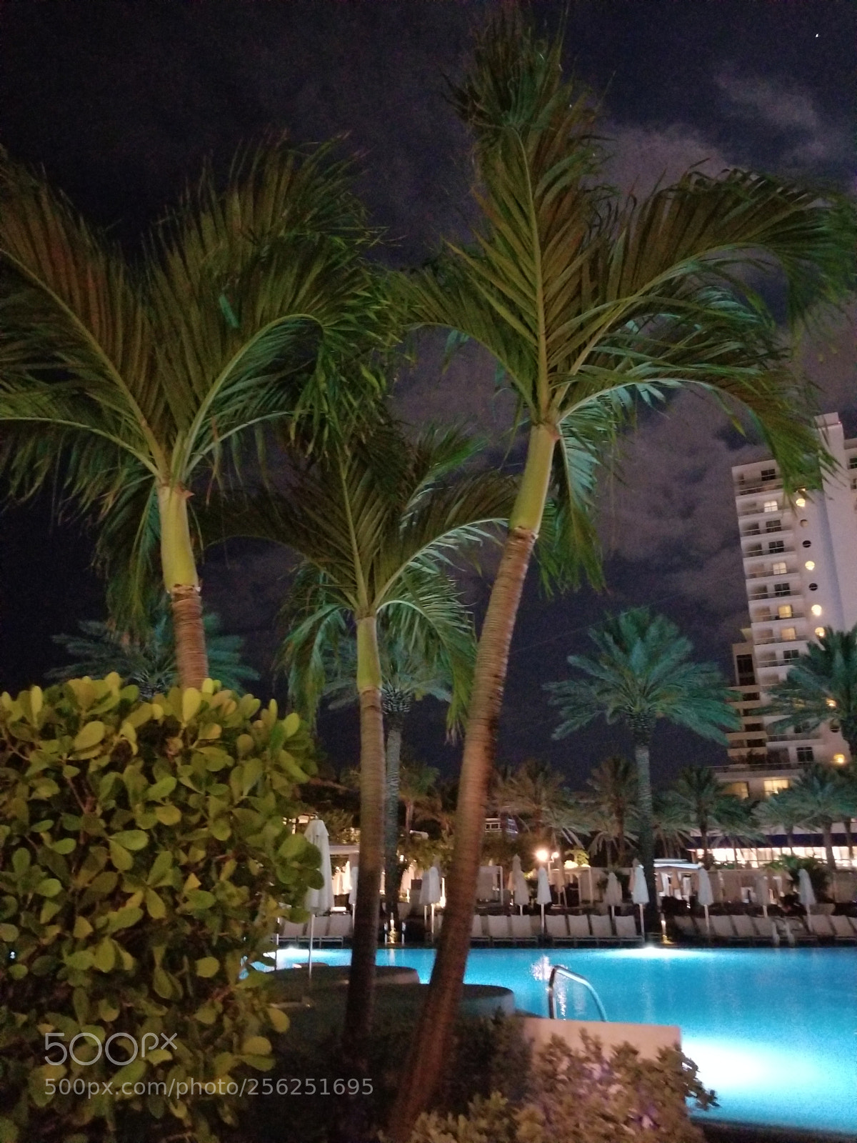 Samsung Galaxy S8+ sample photo. Untitled photography