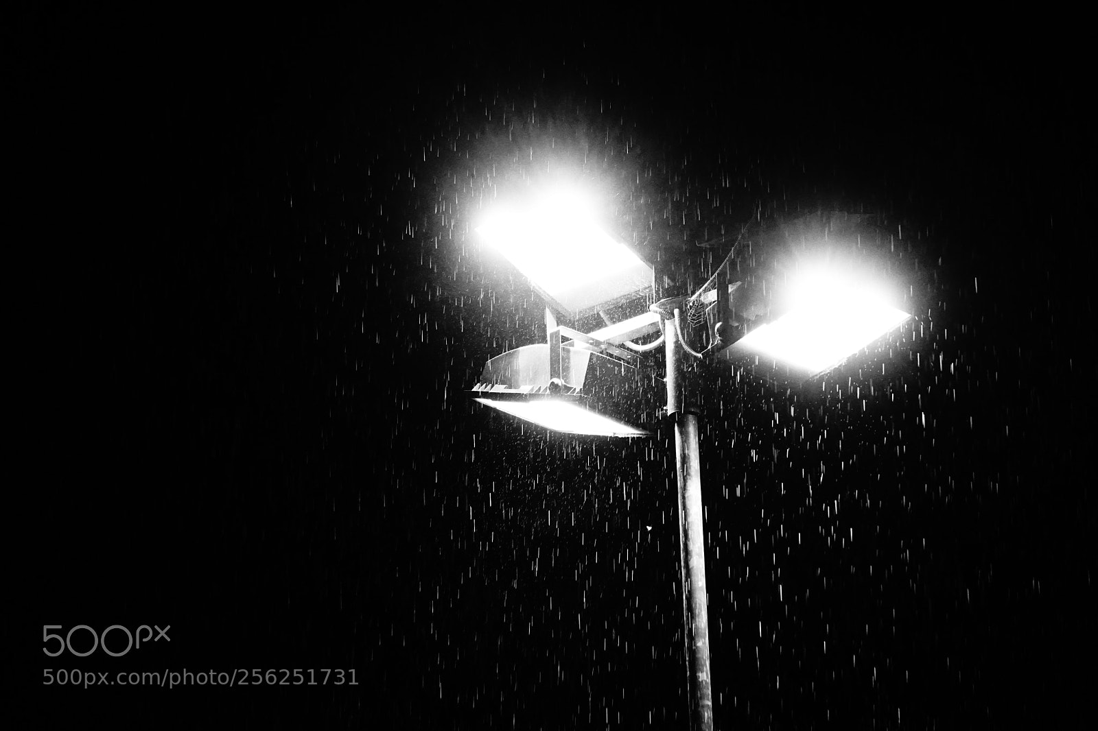 Sony a6000 sample photo. Lights, rain, action photography
