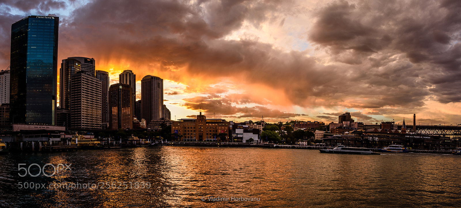 Nikon D810 sample photo. Nightfall at circular quay photography